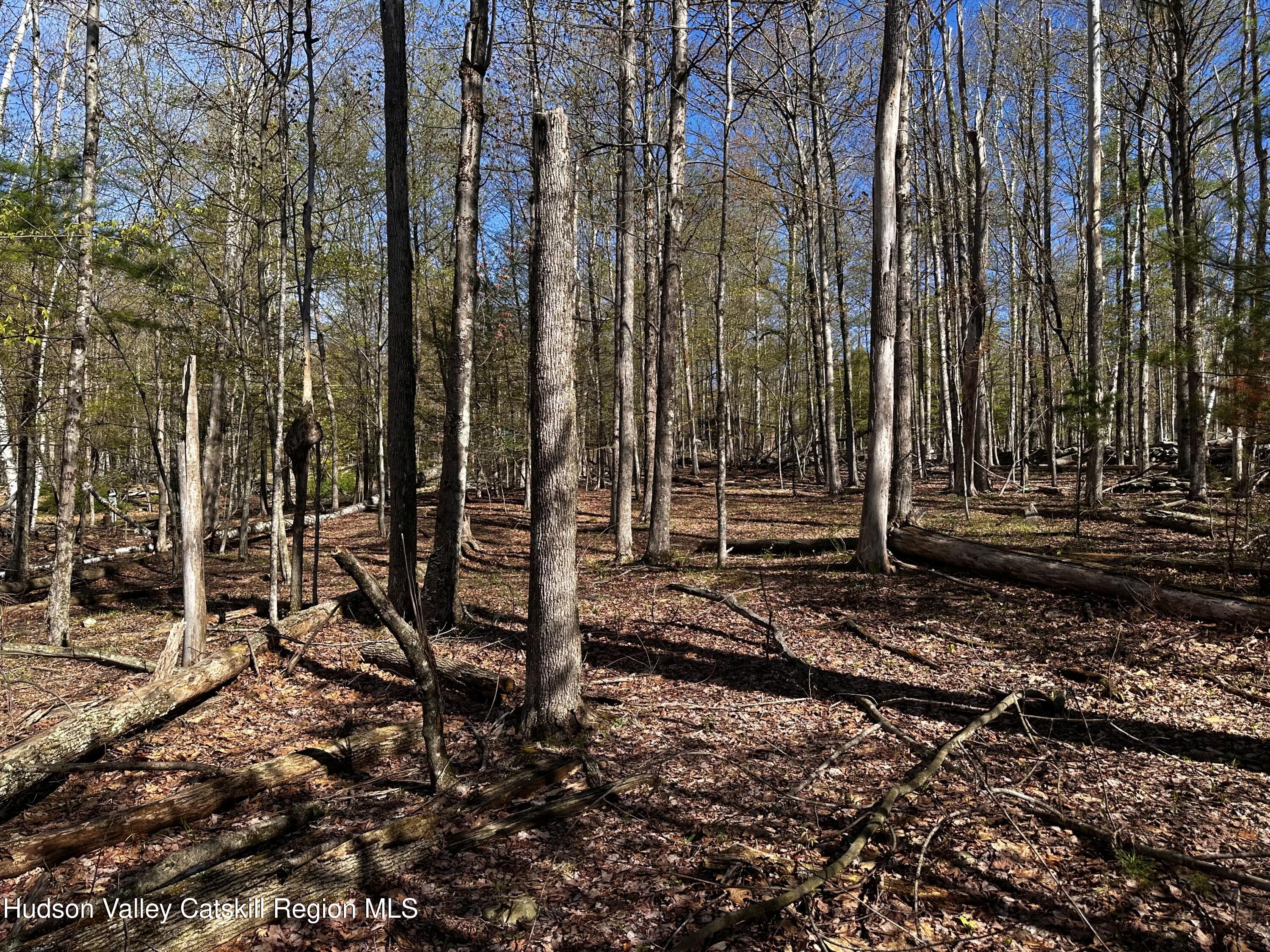 -lot Cross Patch Road Willow, NY 12495 - Photo 8 of 13 IMG_6555