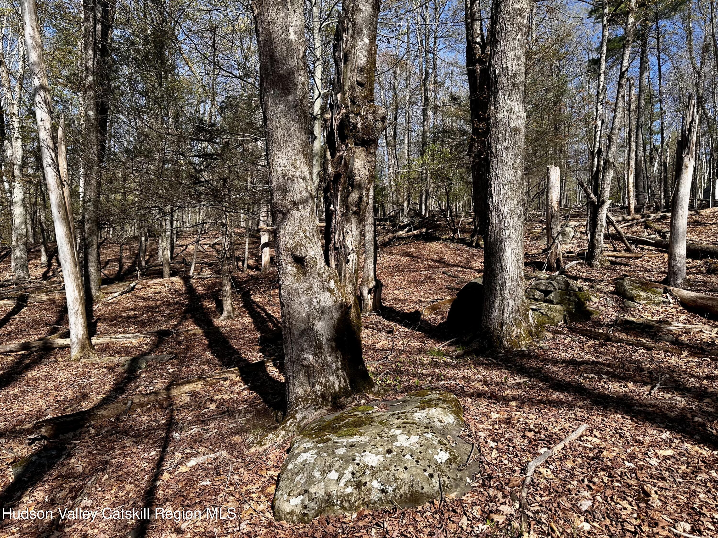 -lot Cross Patch Road Willow, NY 12495 - Photo 10 of 13 IMG_6551