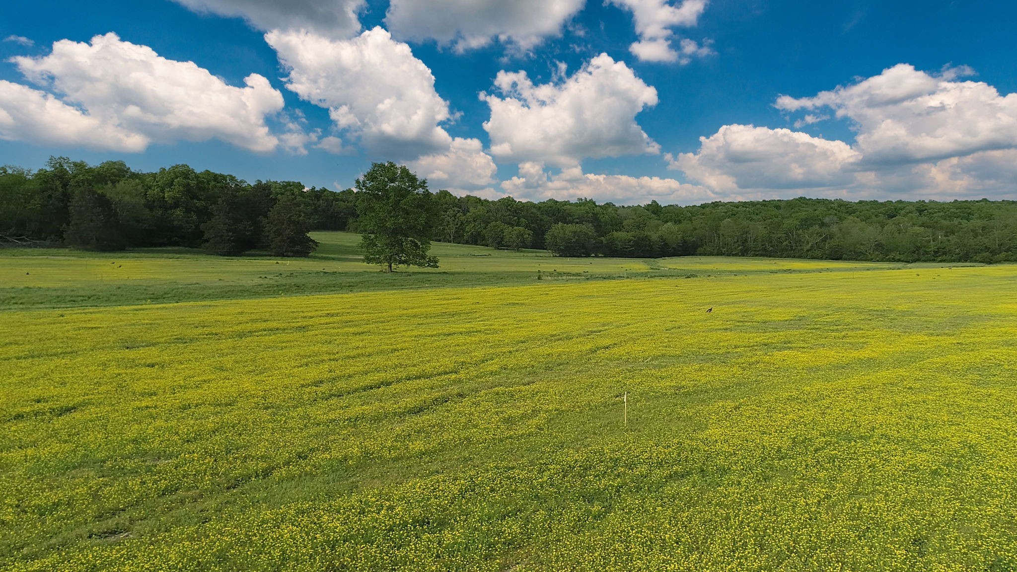 3 Corinth Road Mount Juliet, TN 37122 - Photo 21 of 34 a view of an ocean view