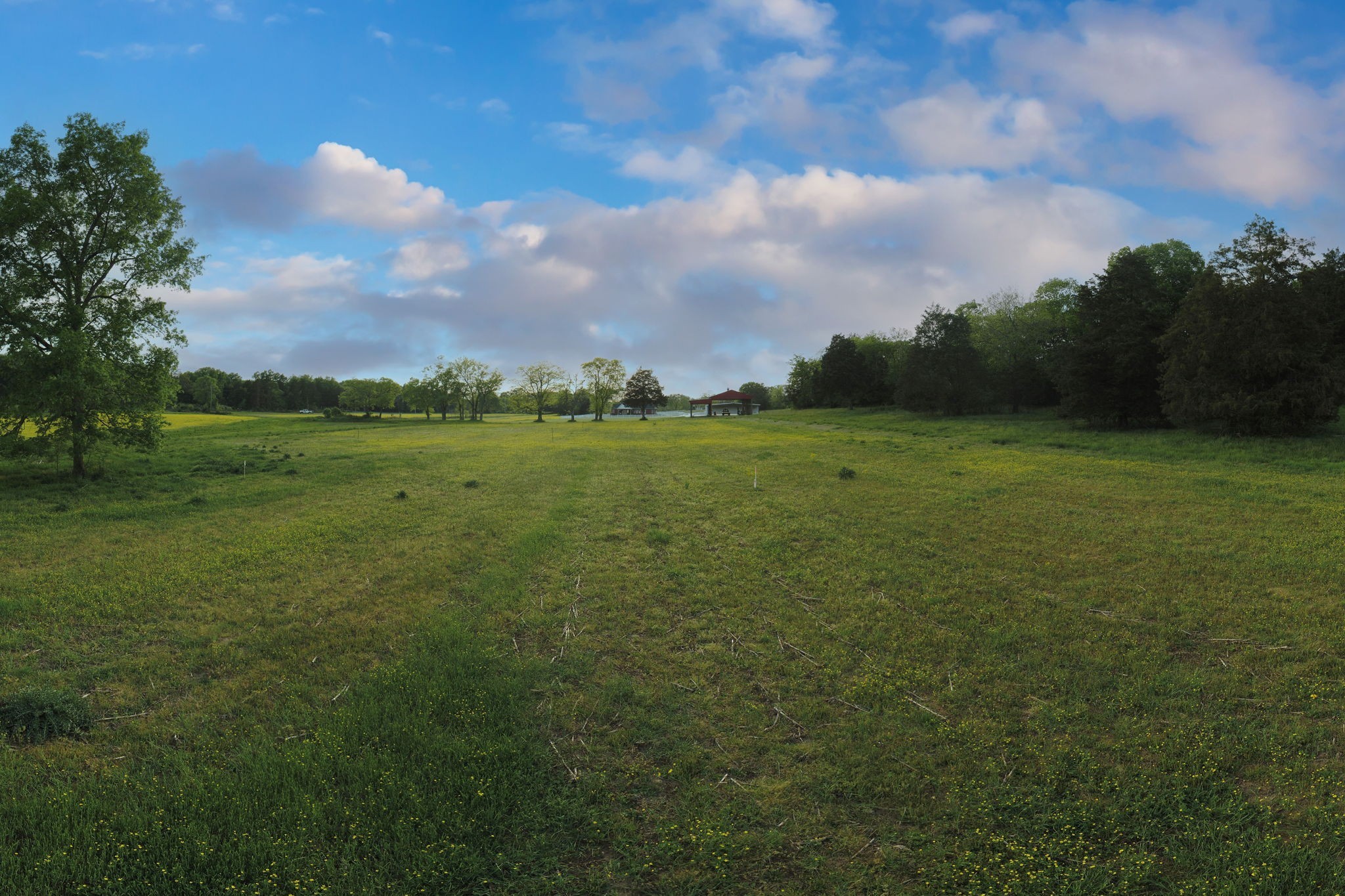 3 Corinth Road Mount Juliet, TN 37122 - Photo 22 of 34 a view of a big yard with lots of green space
