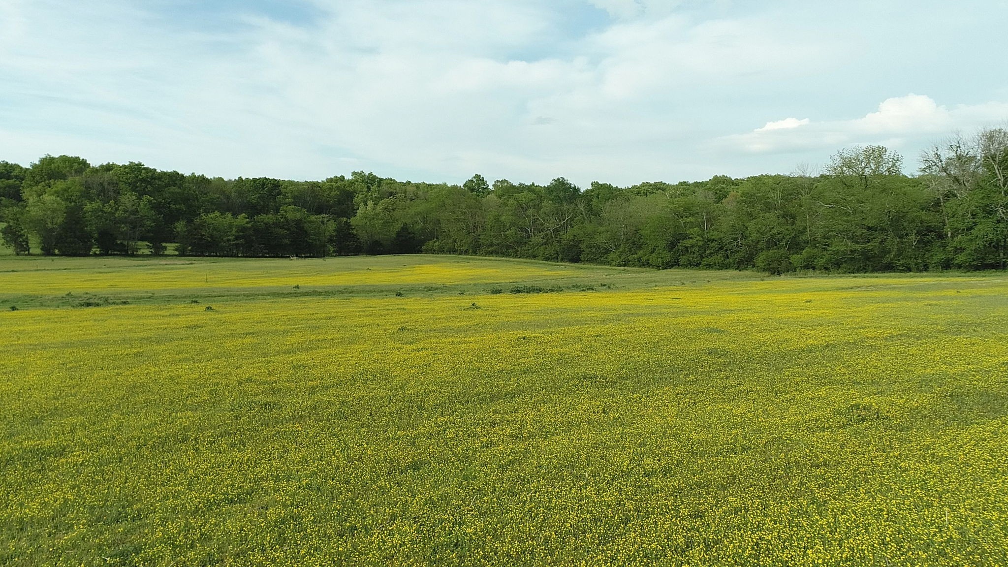 3 Corinth Road Mount Juliet, TN 37122 - Photo 23 of 34