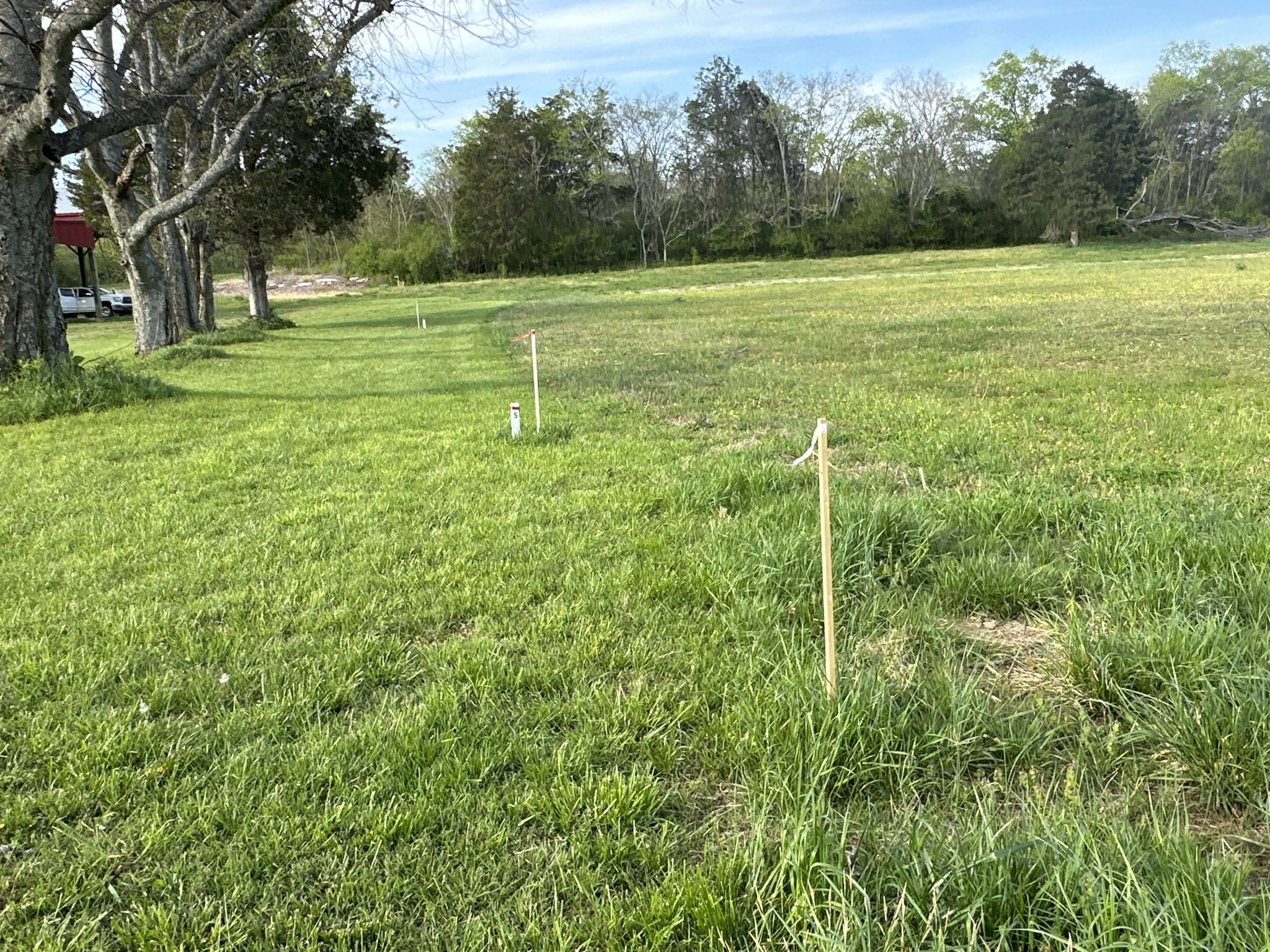 3 Corinth Road Mount Juliet, TN 37122 - Photo 24 of 34 a view of a field with a tree in the background