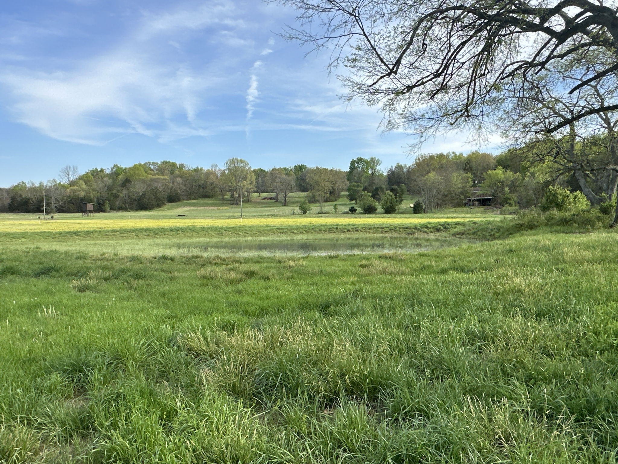 3 Corinth Road Mount Juliet, TN 37122 - Photo 25 of 34 a view of field with tall trees