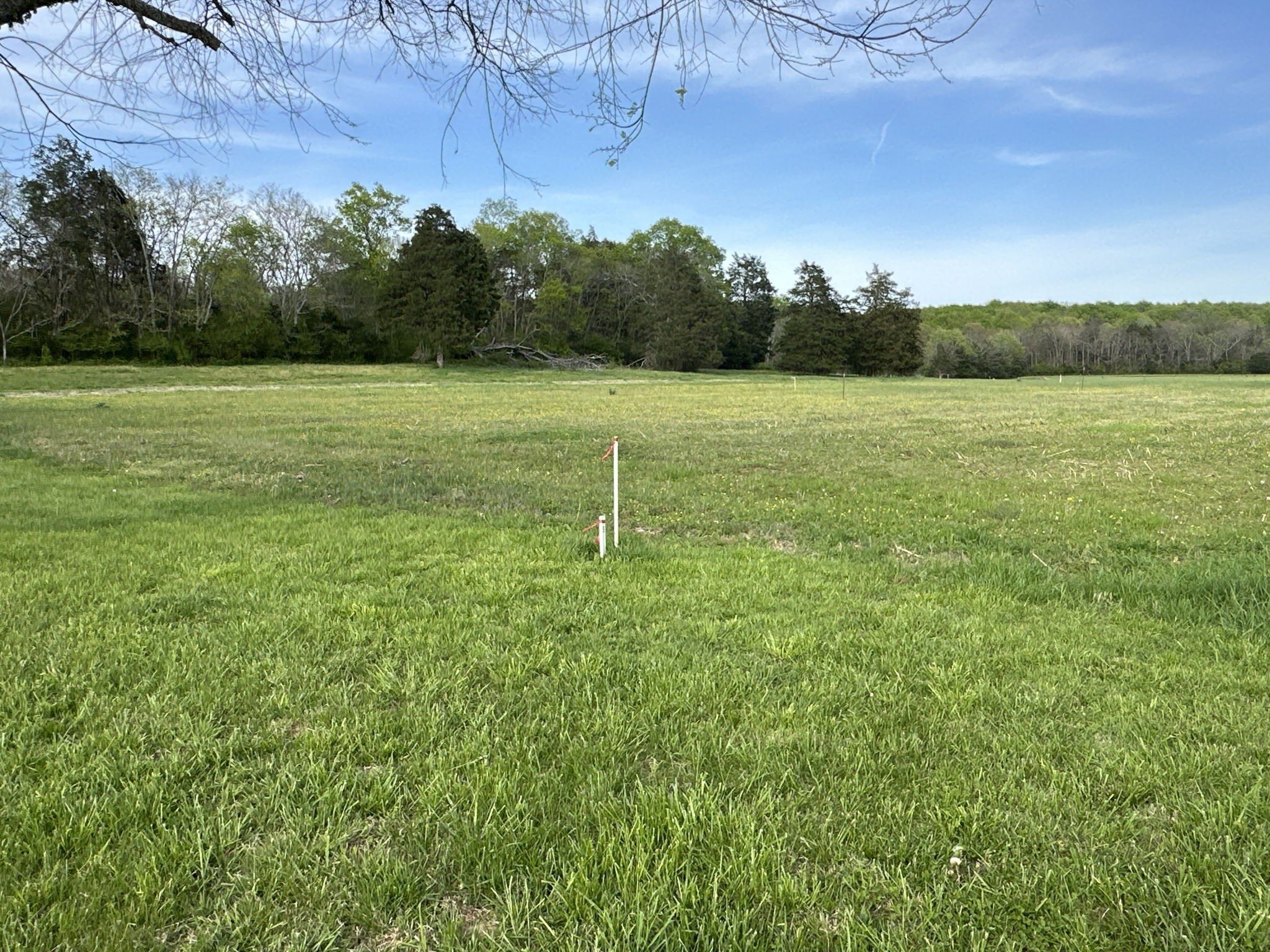 3 Corinth Road Mount Juliet, TN 37122 - Photo 26 of 34 a backyard of a house with lots of green space and fog