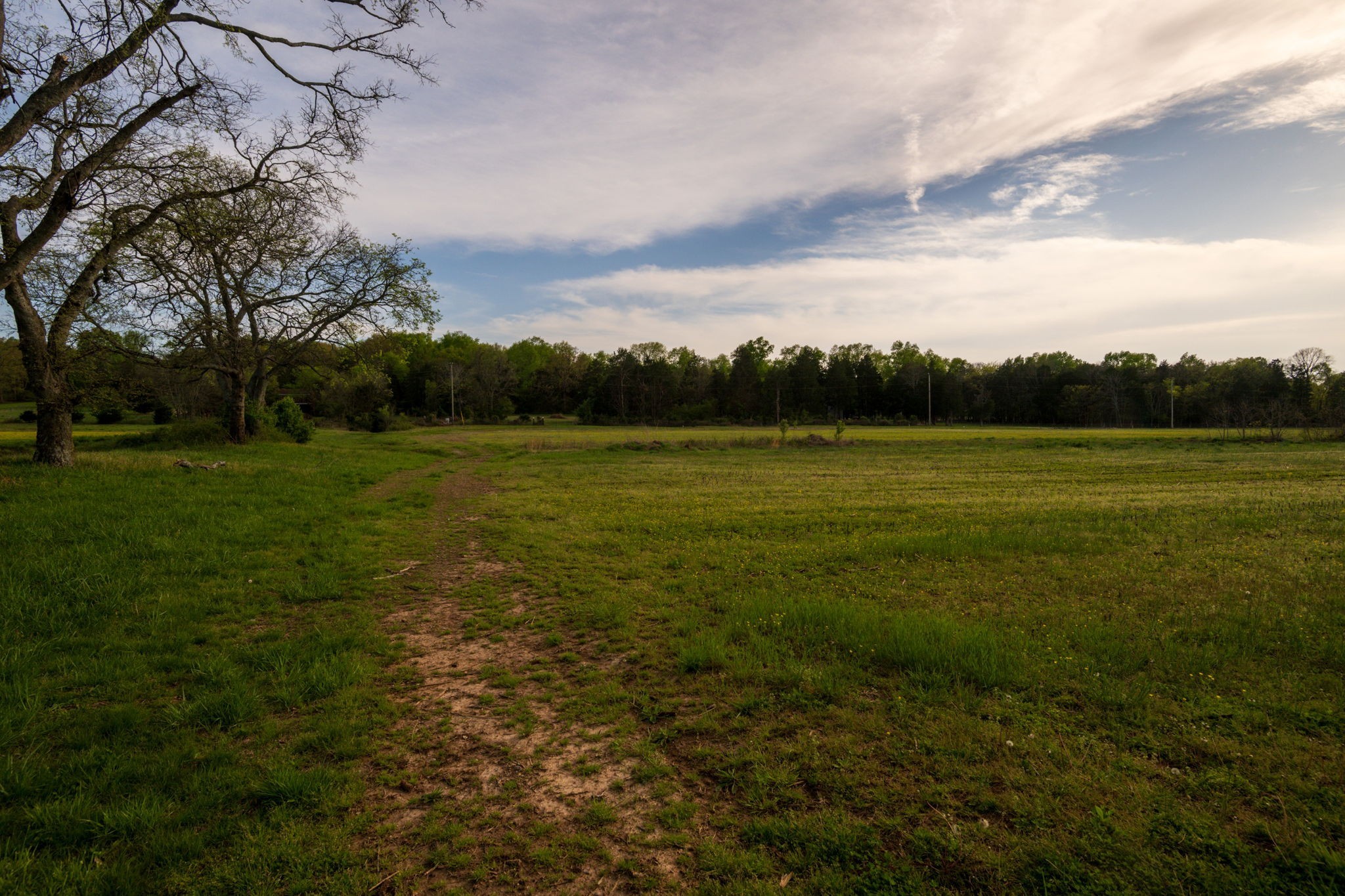 3 Corinth Road Mount Juliet, TN 37122 - Photo 27 of 34 a view of an outdoor space and a yard