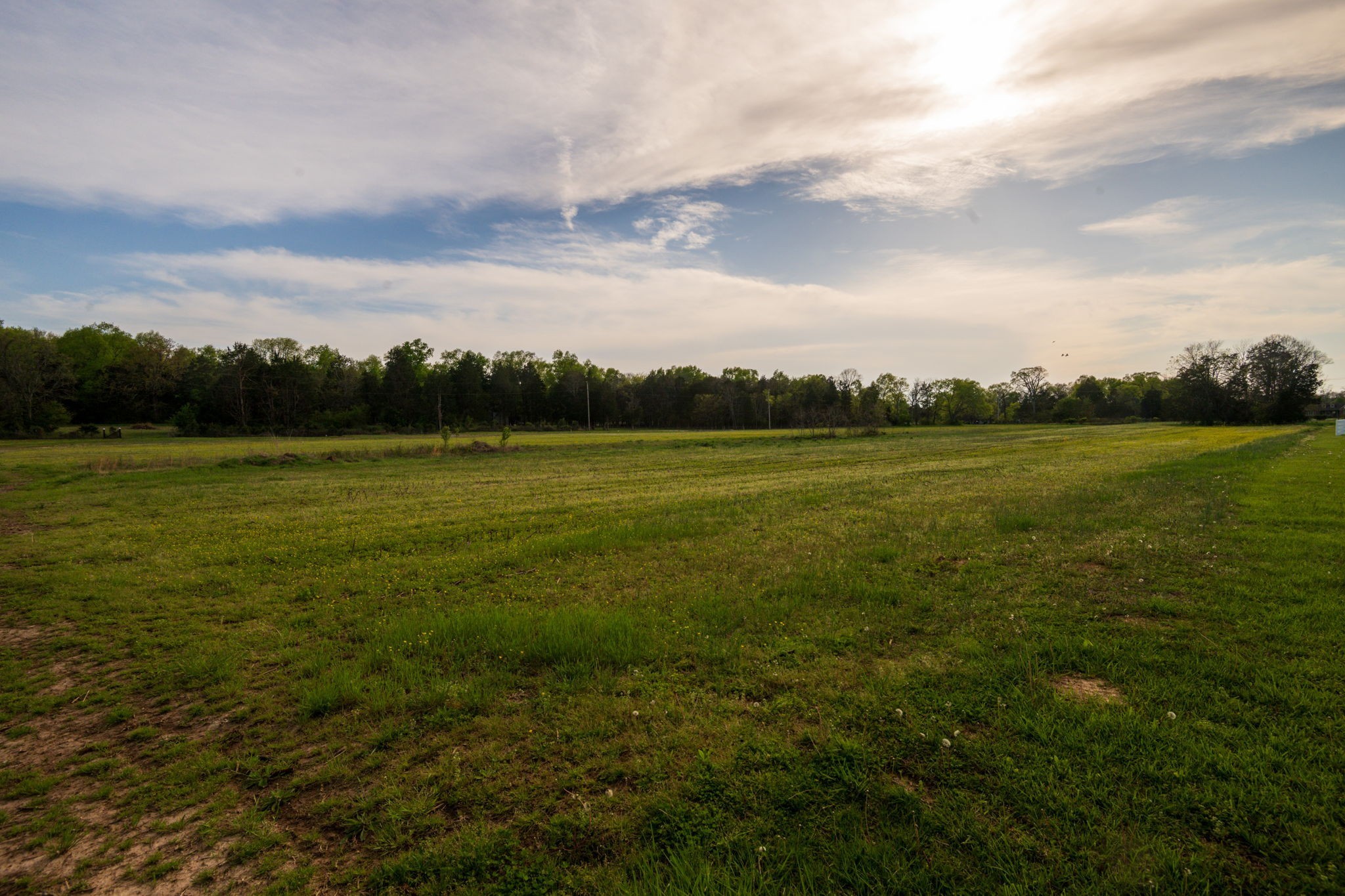 3 Corinth Road Mount Juliet, TN 37122 - Photo 28 of 34 a view of an outdoor space and a yard