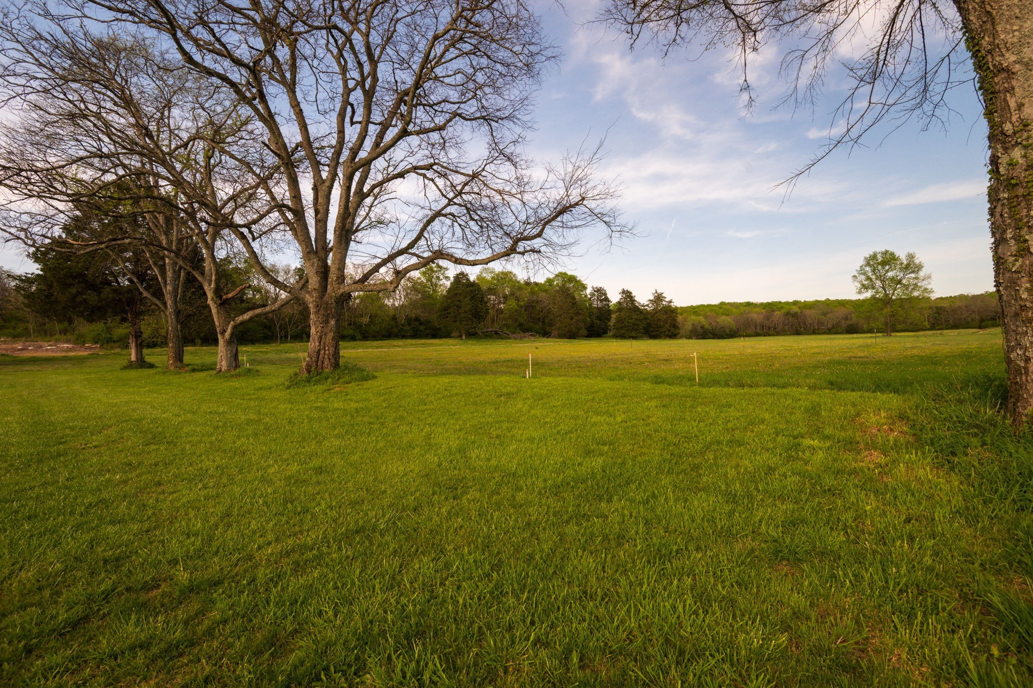 3 Corinth Road Mount Juliet, TN 37122 - Photo 5 of 34 a view of yard with an trees