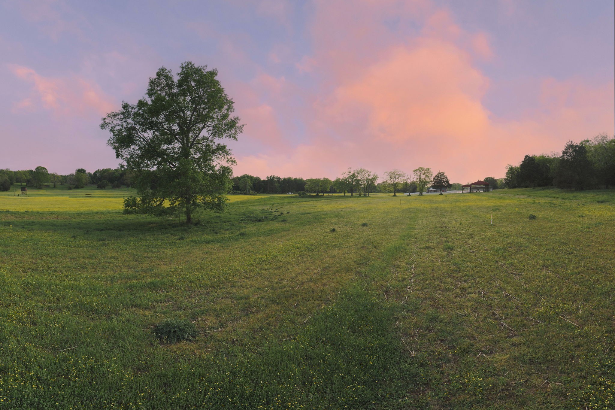 3 Corinth Road Mount Juliet, TN 37122 - Photo 7 of 34 a view of a field with ocean view