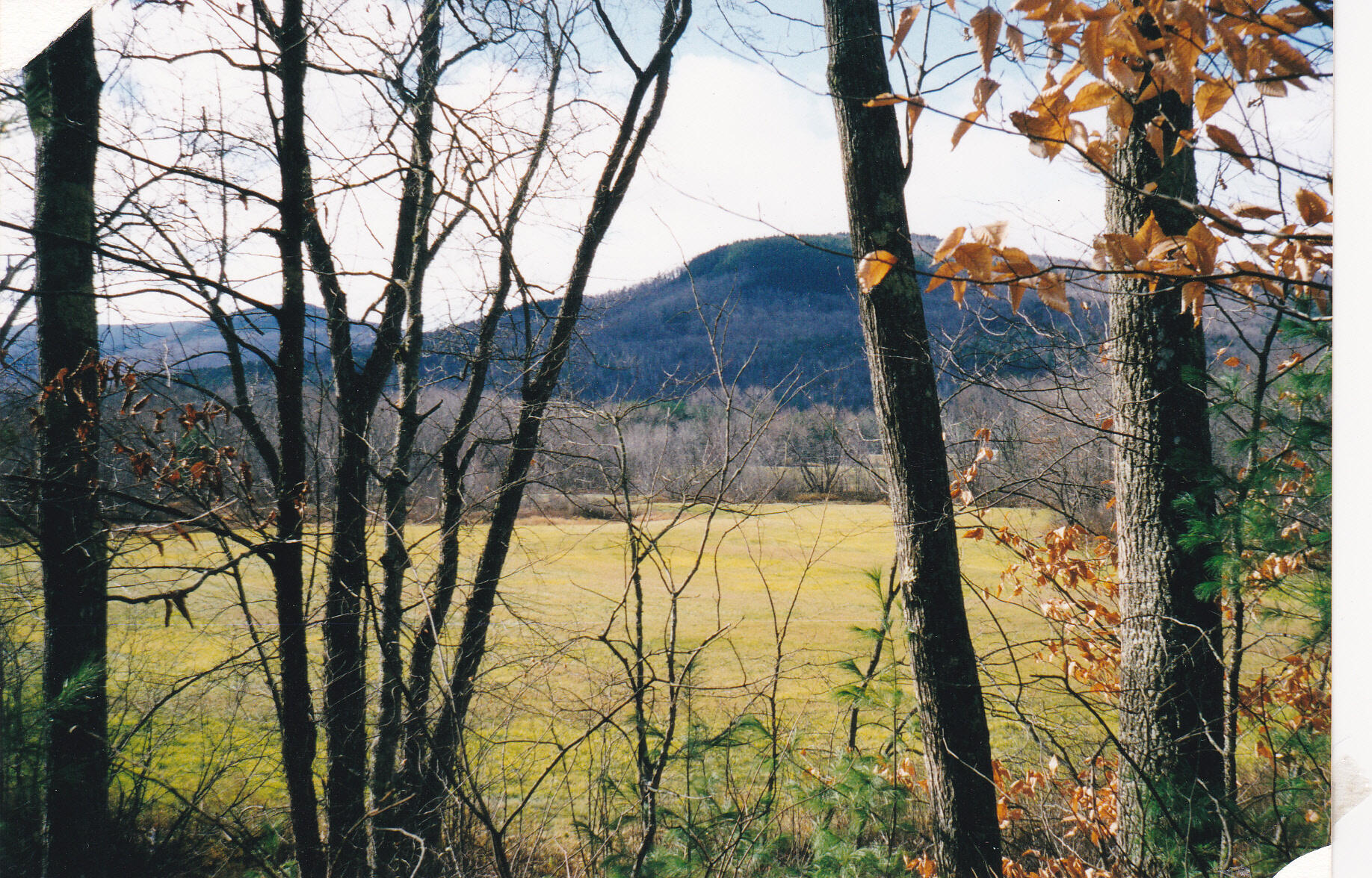 Lot 8 East Andover Road Andover, ME 04216 - Photo 1 of 4 Picture 3