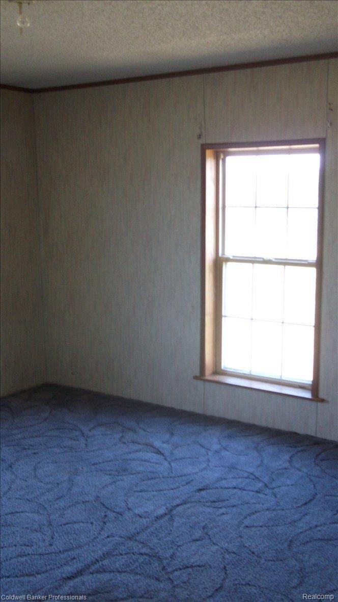 5298 South State Road Goodrich, MI 48438 - Photo 10 of 12 DSCF1048