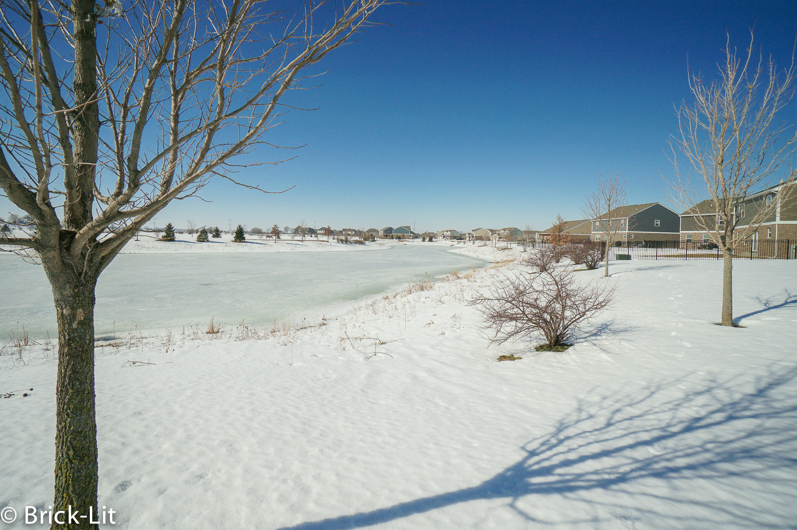 954 Redcliff Road New Lenox, IL 60451 - Photo 7 of 33