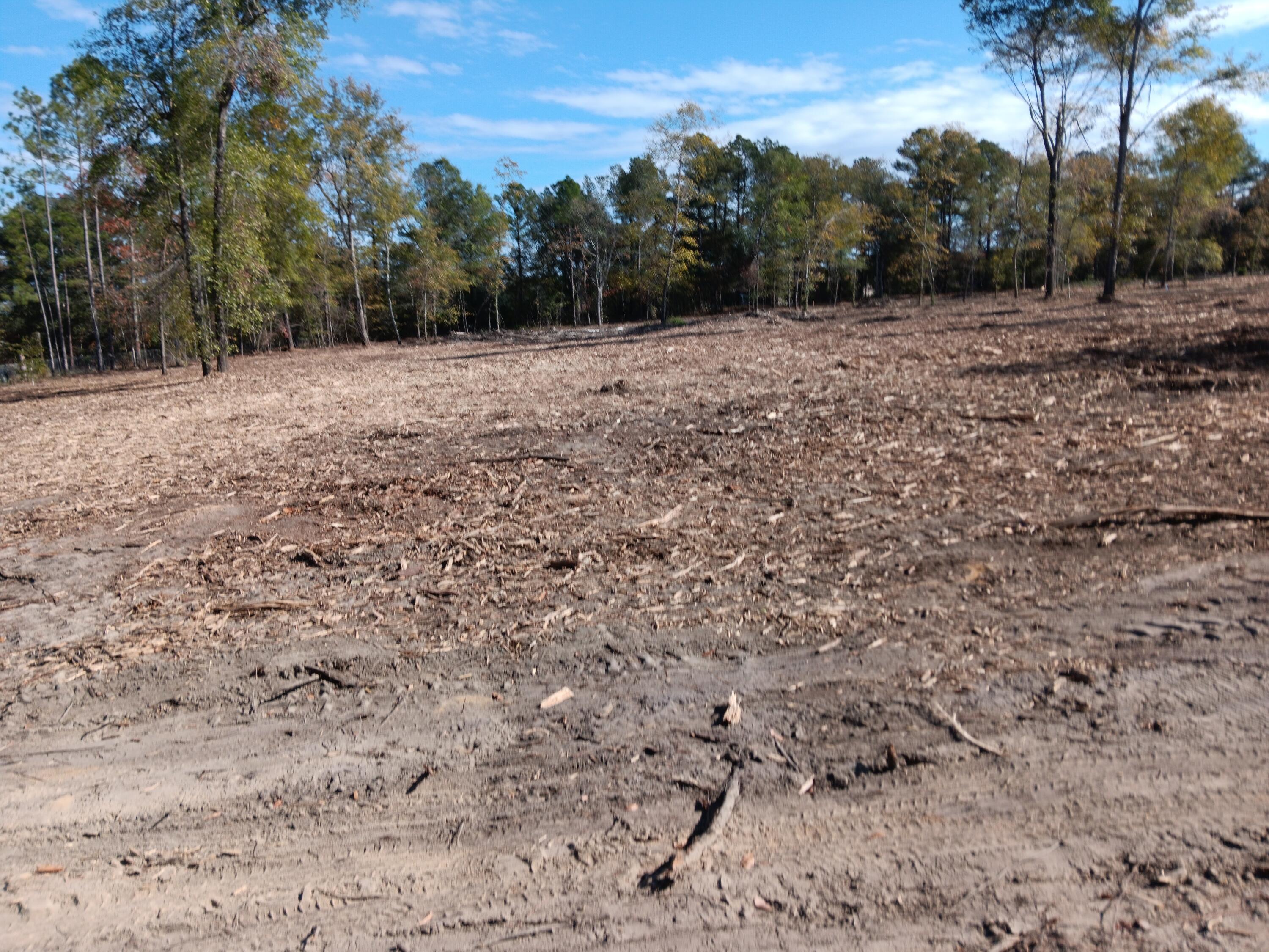 0 Londe Lane Barnwell, SC 29812 - Photo 12 of 12