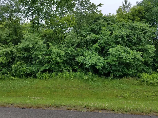 $40,000 | 39579 Orchard Bluff Lane, Wadsworth, IL 60083