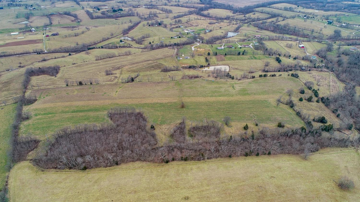 1 Monson/lake Road Cynthiana, KY 41031 - Photo 5 of 23 Photo 5