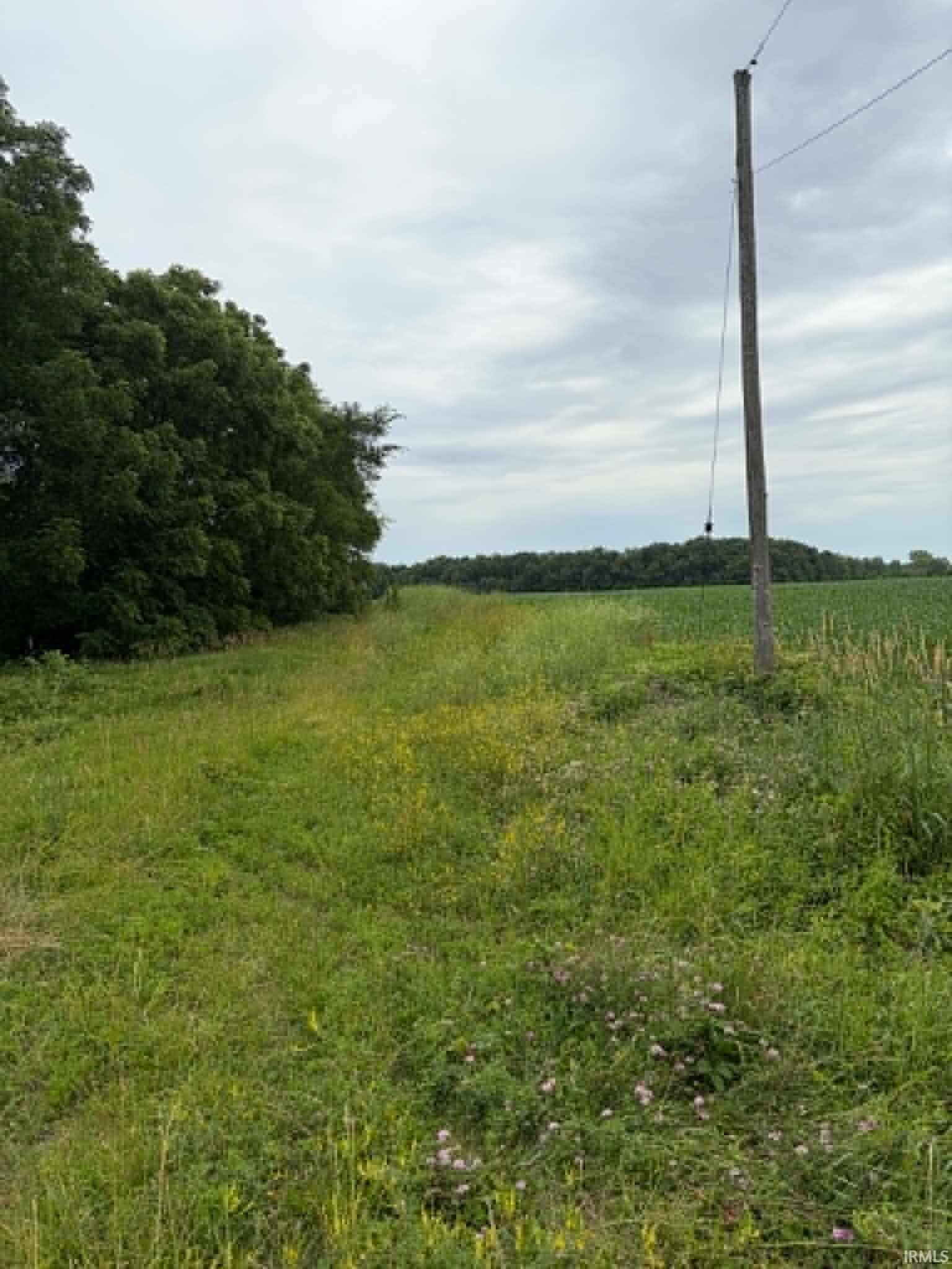 8501 Decatur Road Fort Wayne, IN 46816 - Photo 3 of 4