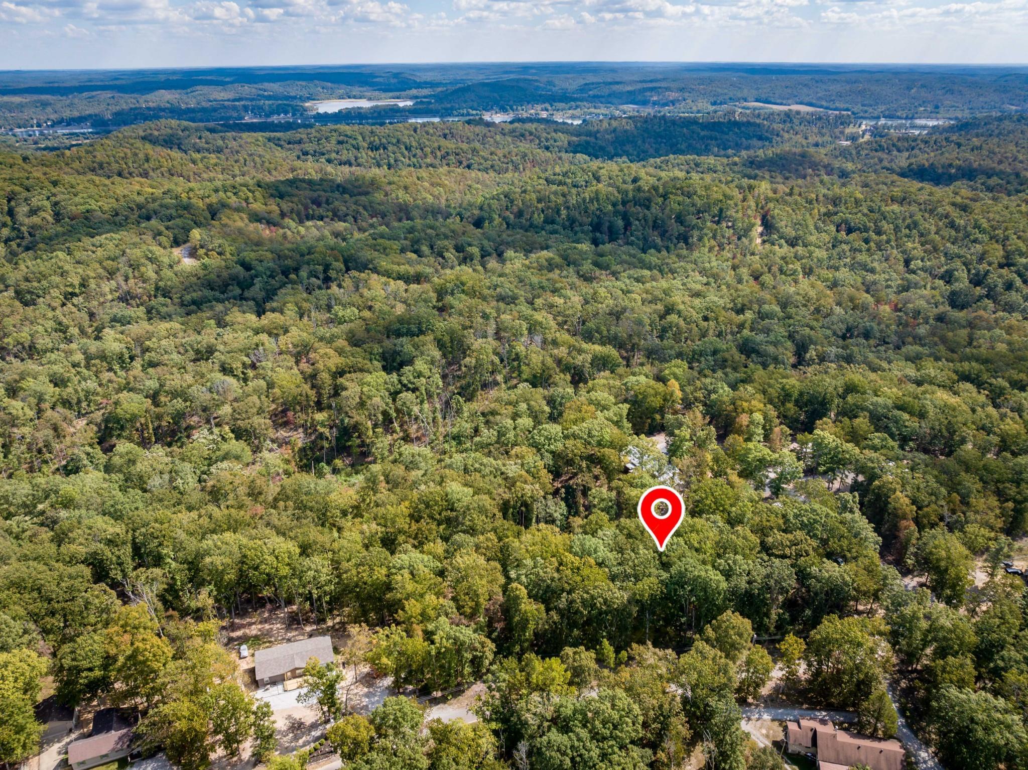 Lot 14-16 Ridgeway Drive Sugar Tree, TN 38380 - Photo 1 of 19 Birds eye view of property