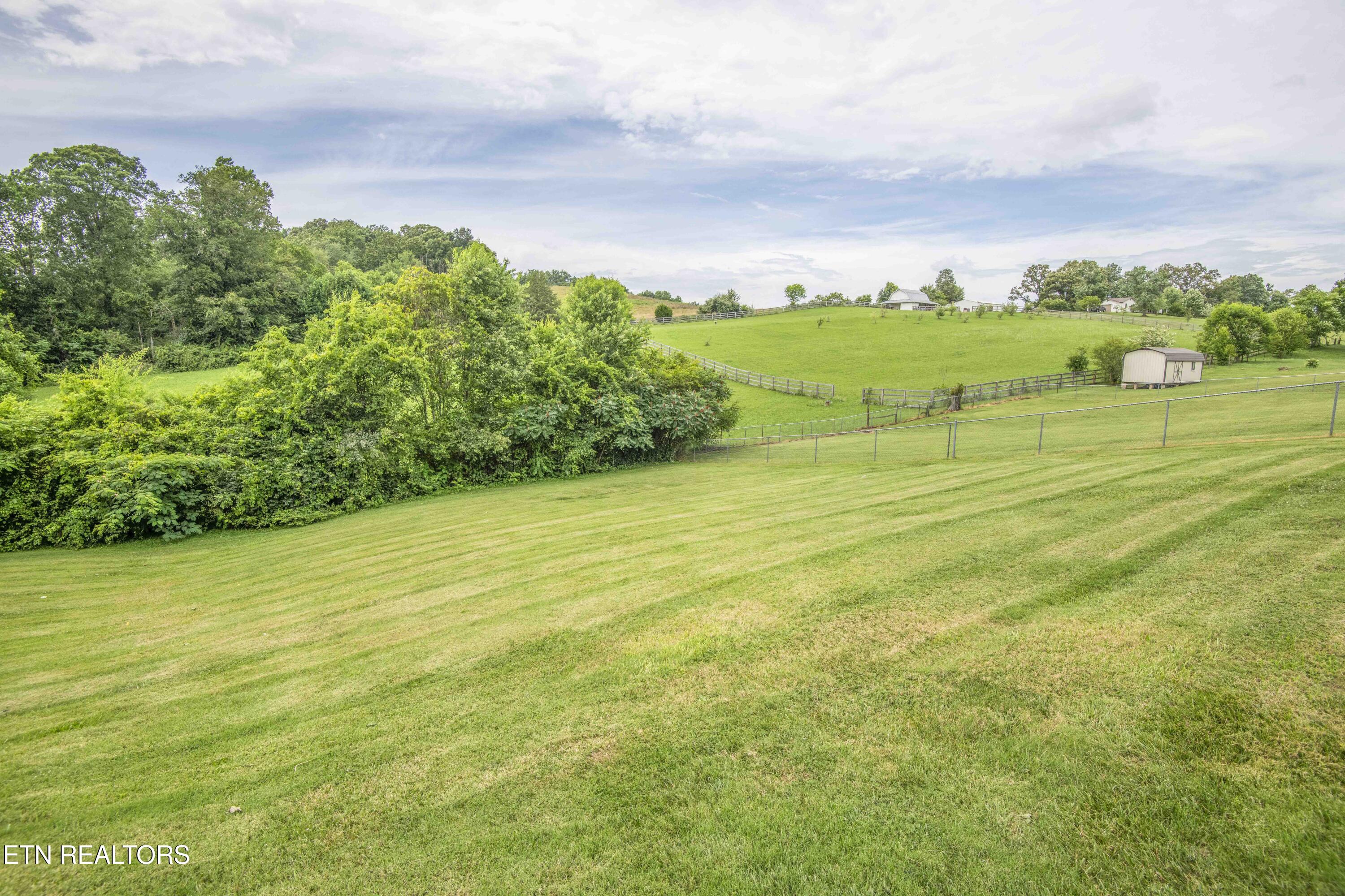 4215 Wildwood Road Maryville, TN 37804 - Photo 35 of 36 yard 3_1