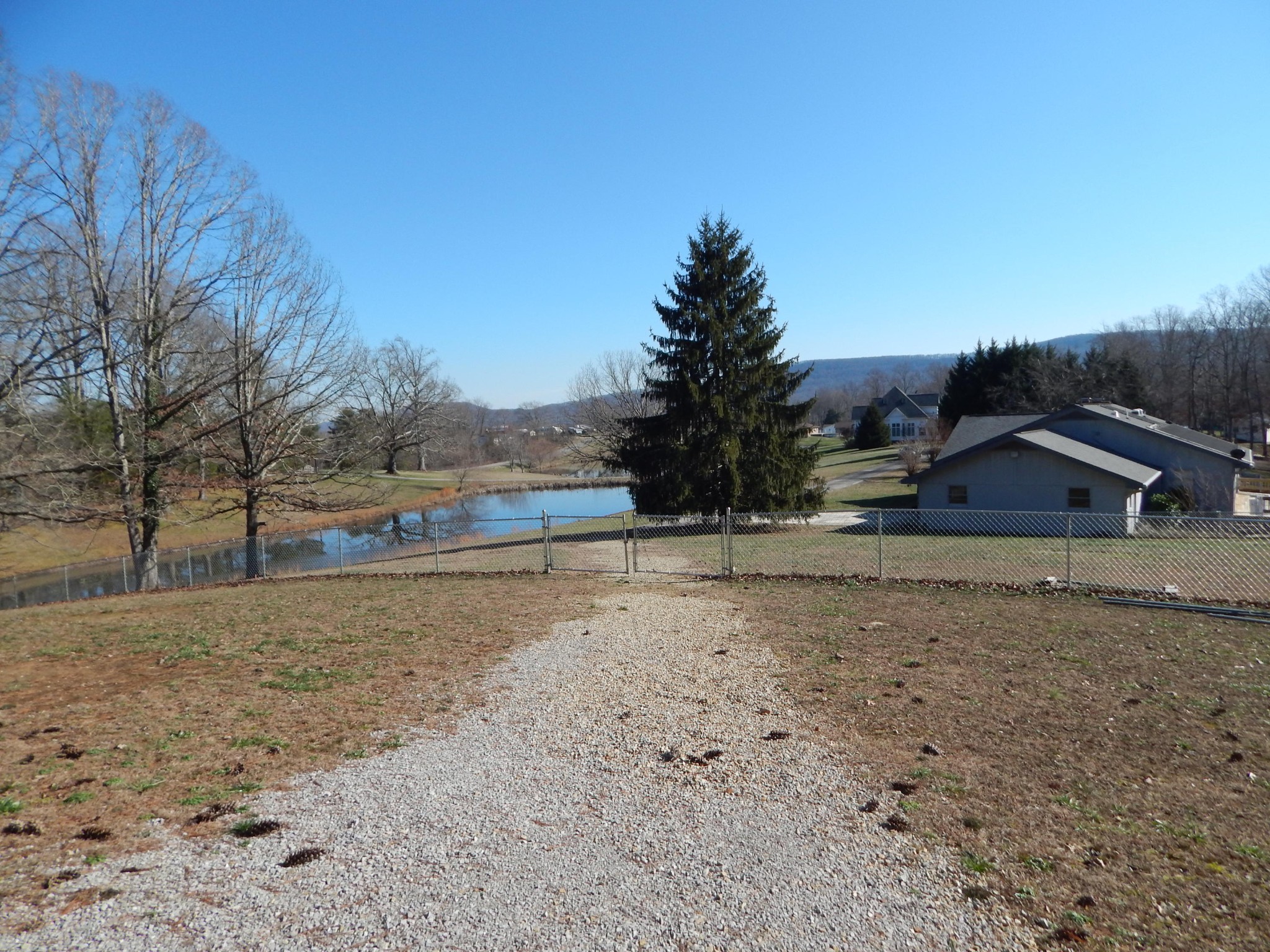310 Houston Road Crossville, TN 38555 - Photo 36 of 40 a view of dirt yard with a large tree