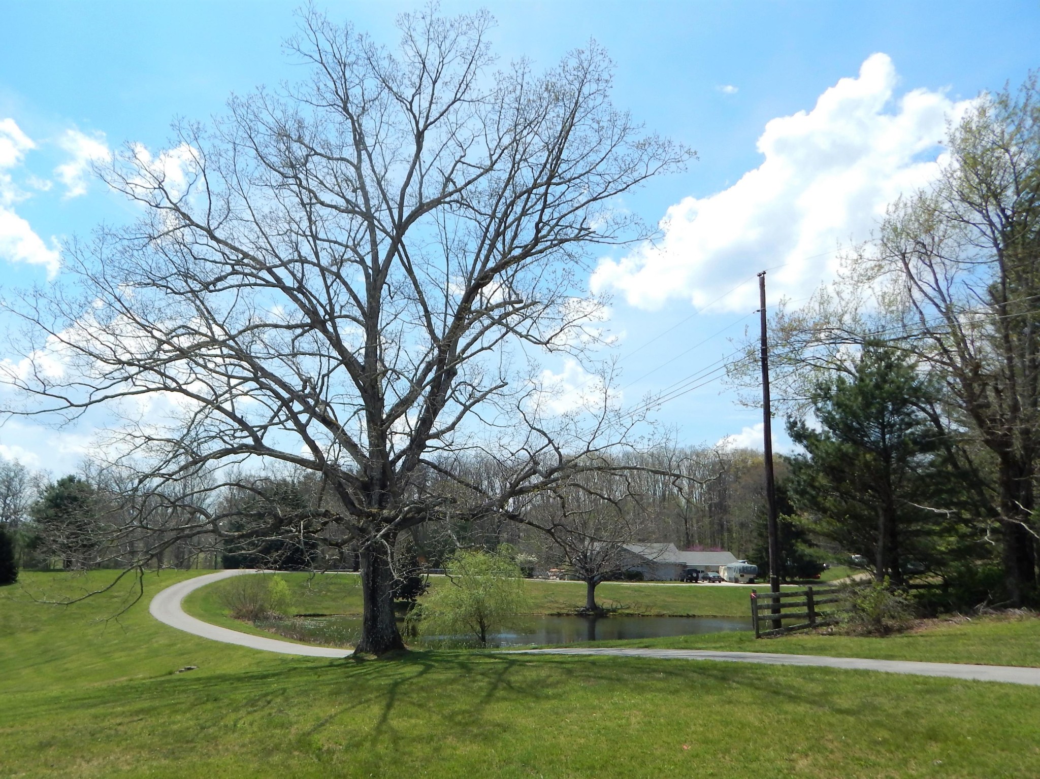 310 Houston Road Crossville, TN 38555 - Photo 38 of 40 a backyard of a house with lots of green space