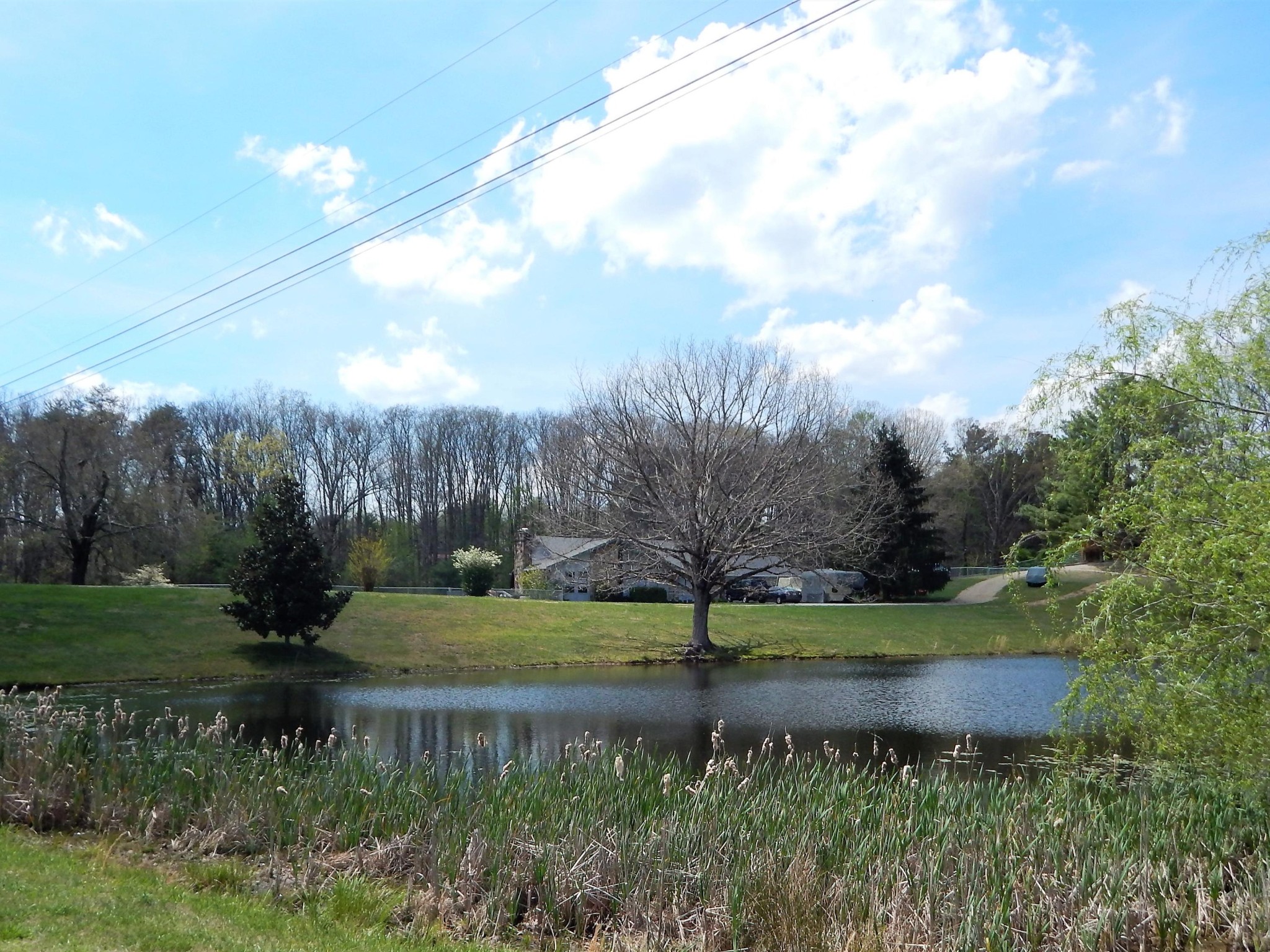 310 Houston Road Crossville, TN 38555 - Photo 39 of 40 a view of a park