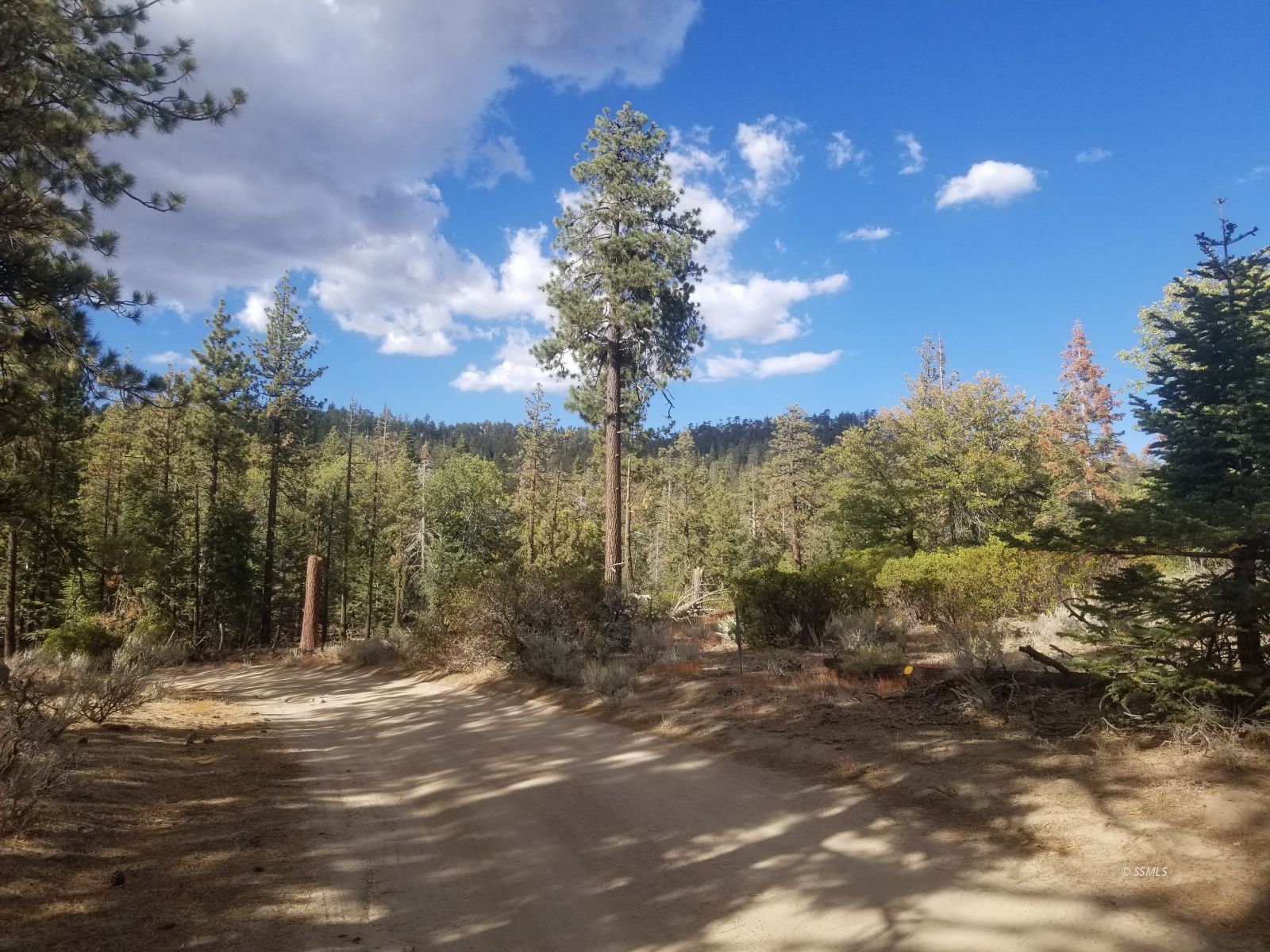 Piute Pines Caliente, CA 93518 - Photo 21 of 26