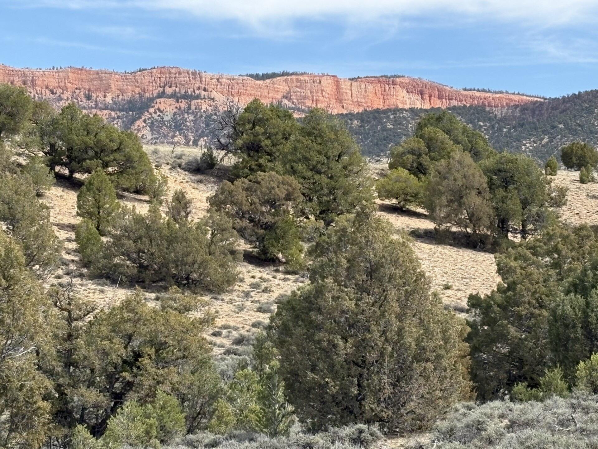 1795 Eagle Ridge Circle Hatch, UT 84735 - Photo 3 of 8 62792ab8-6190-4e8c-9c6e-54c984036f31