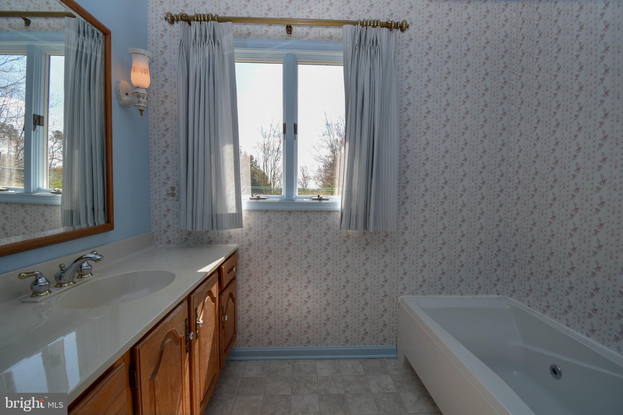 20 Lighthouse Road Selbyville, DE 19975 - Photo 23 of 35 Primary Ensuite Bathroom