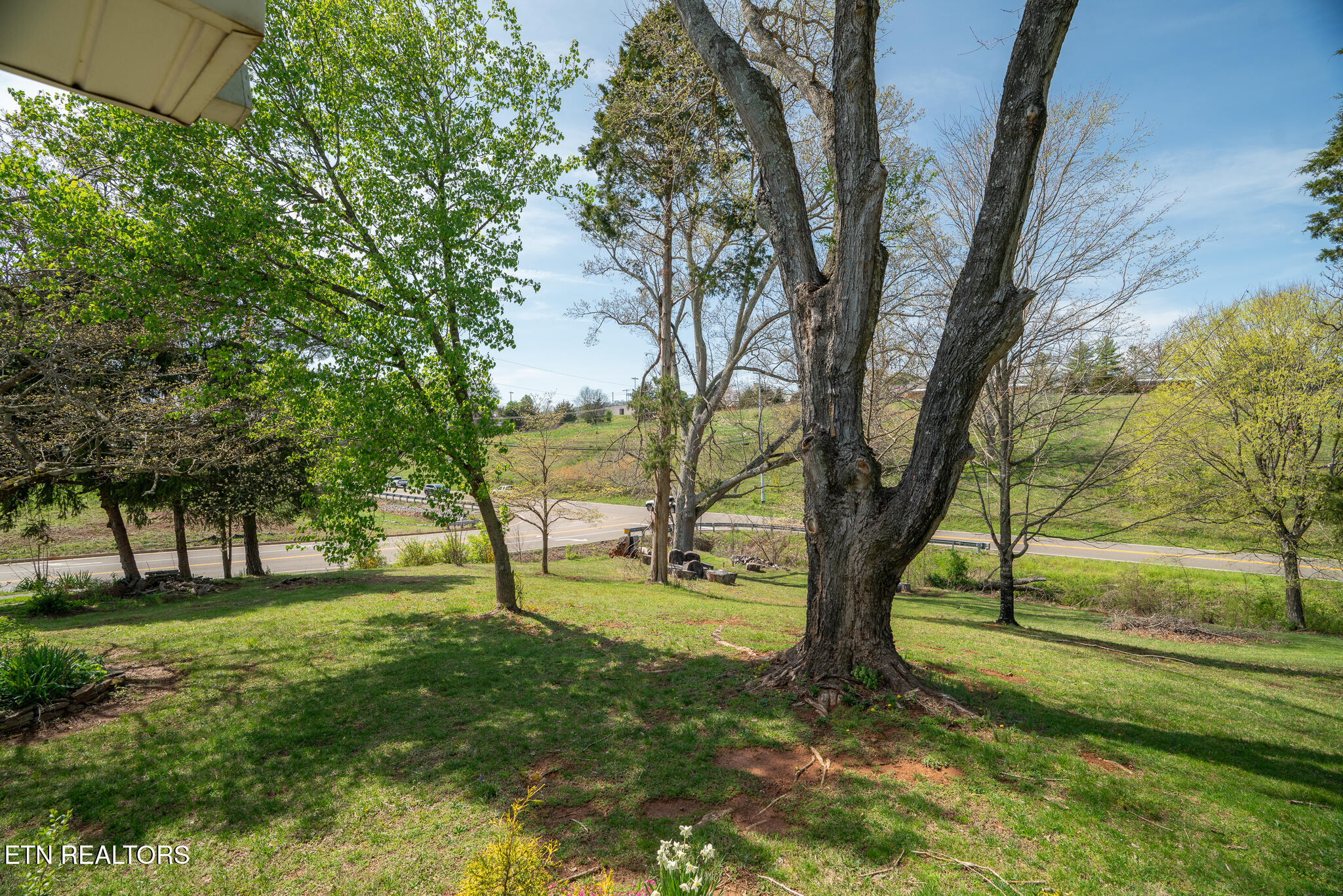 865 Wade Road Seymour, TN 37865 - Photo 13 of 32 untitled-19
