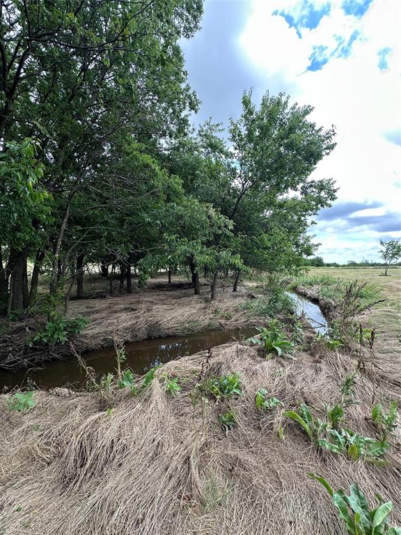 Tbd Krahl Road Valley View, TX 76272 - Photo 15 of 23 Creek