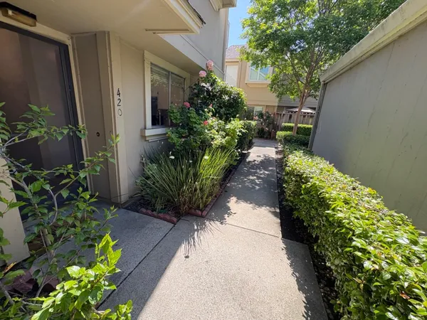 a view of a pathway with flower pots