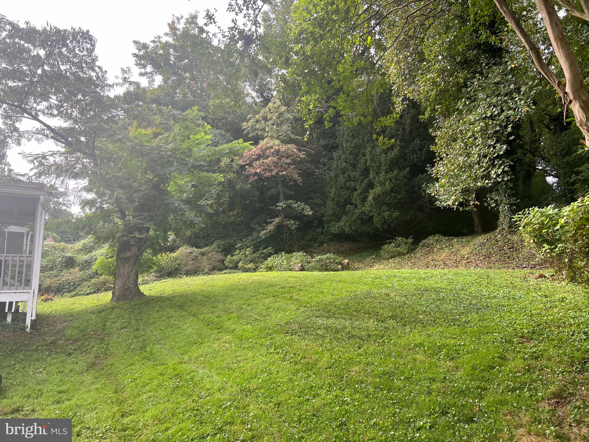 8214 Beech Tree Road Bethesda, MD 20817 - Photo 47 of 50 Backyard