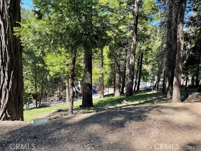 a view of a tree in a yard