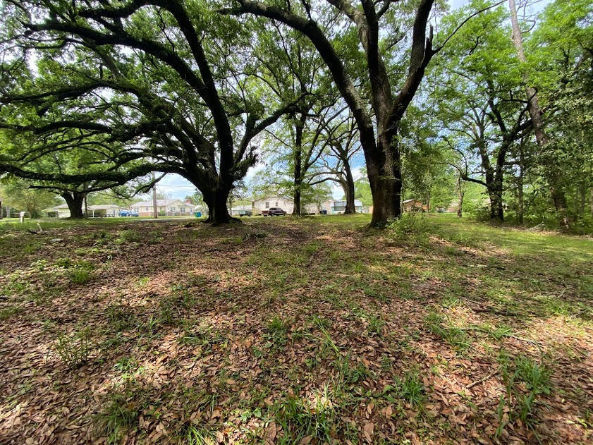 4618 1st Street Moss Point, MS 39563 - Photo 3 of 6 02