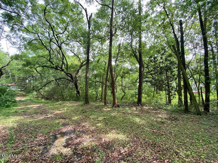4618 1st Street Moss Point, MS 39563 - Photo 4 of 6 03