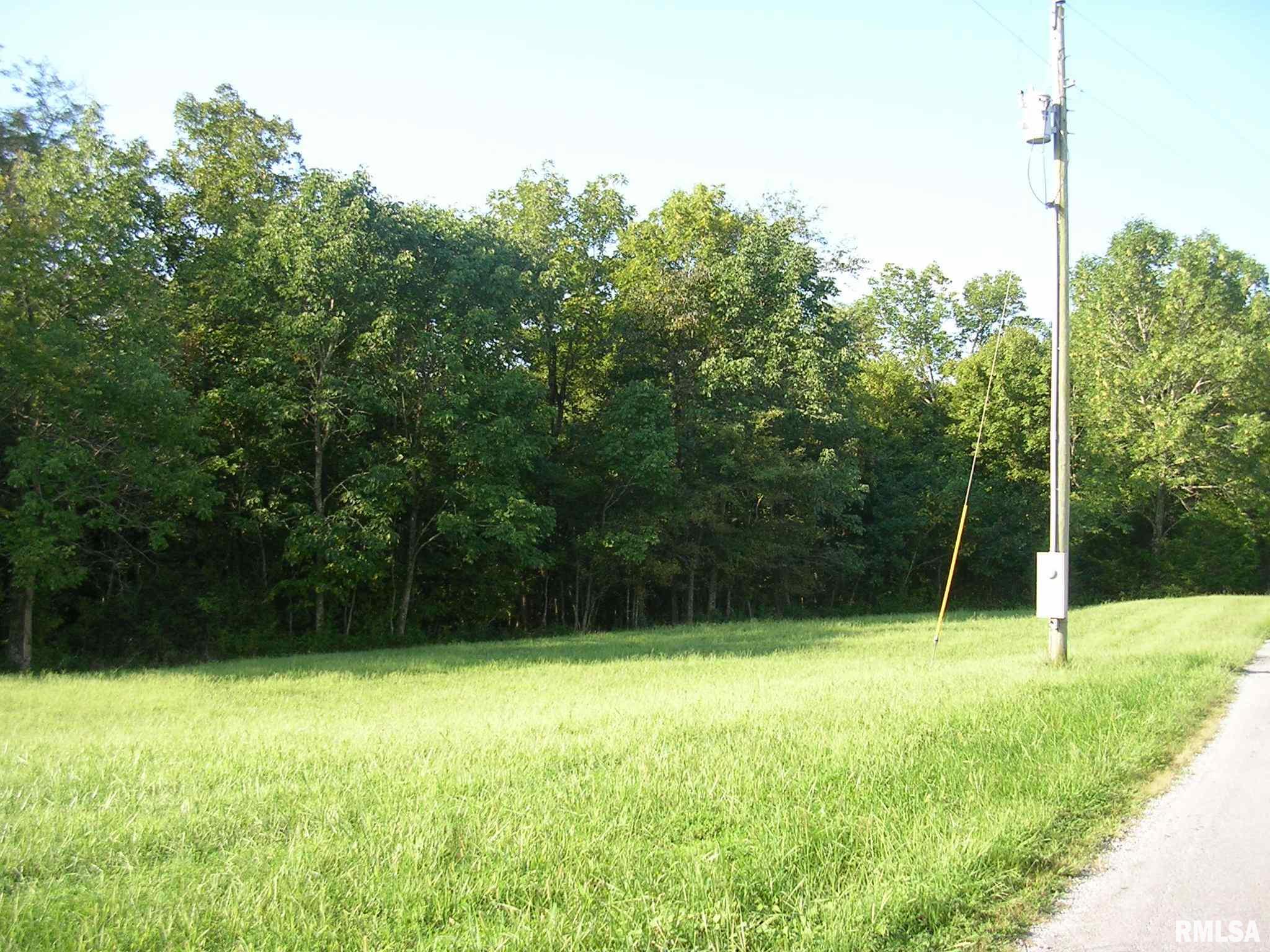 2640 Mt Shelter Road Vienna, IL 62995 - Photo 1 of 5 Gallery Image 1