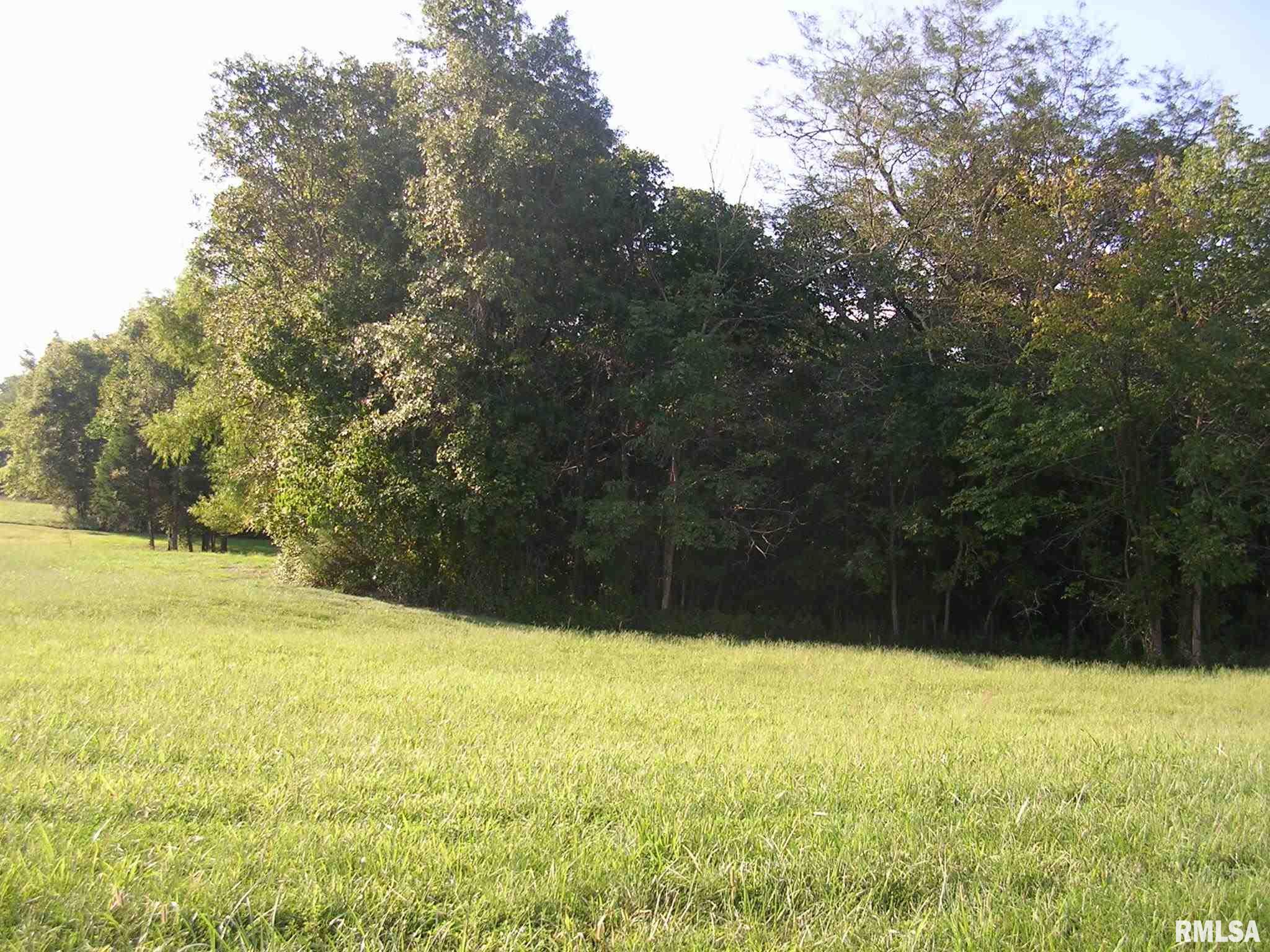 2640 Mt Shelter Road Vienna, IL 62995 - Photo 4 of 5 Gallery Image 4