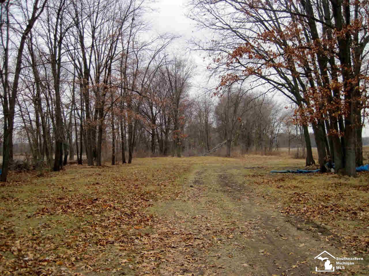 3044 Haines Road Petersburg, MI 49270 - Photo 4 of 4 Gallery Image 4