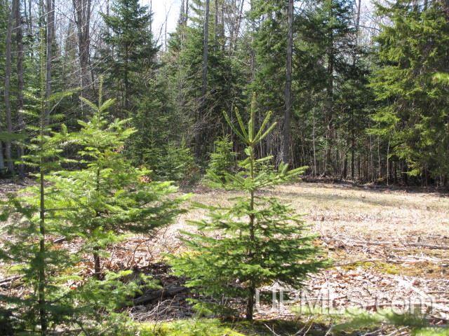 22405 Webb Road Grand Marais, MI 49839 - Photo 27 of 32 Gallery Image 27