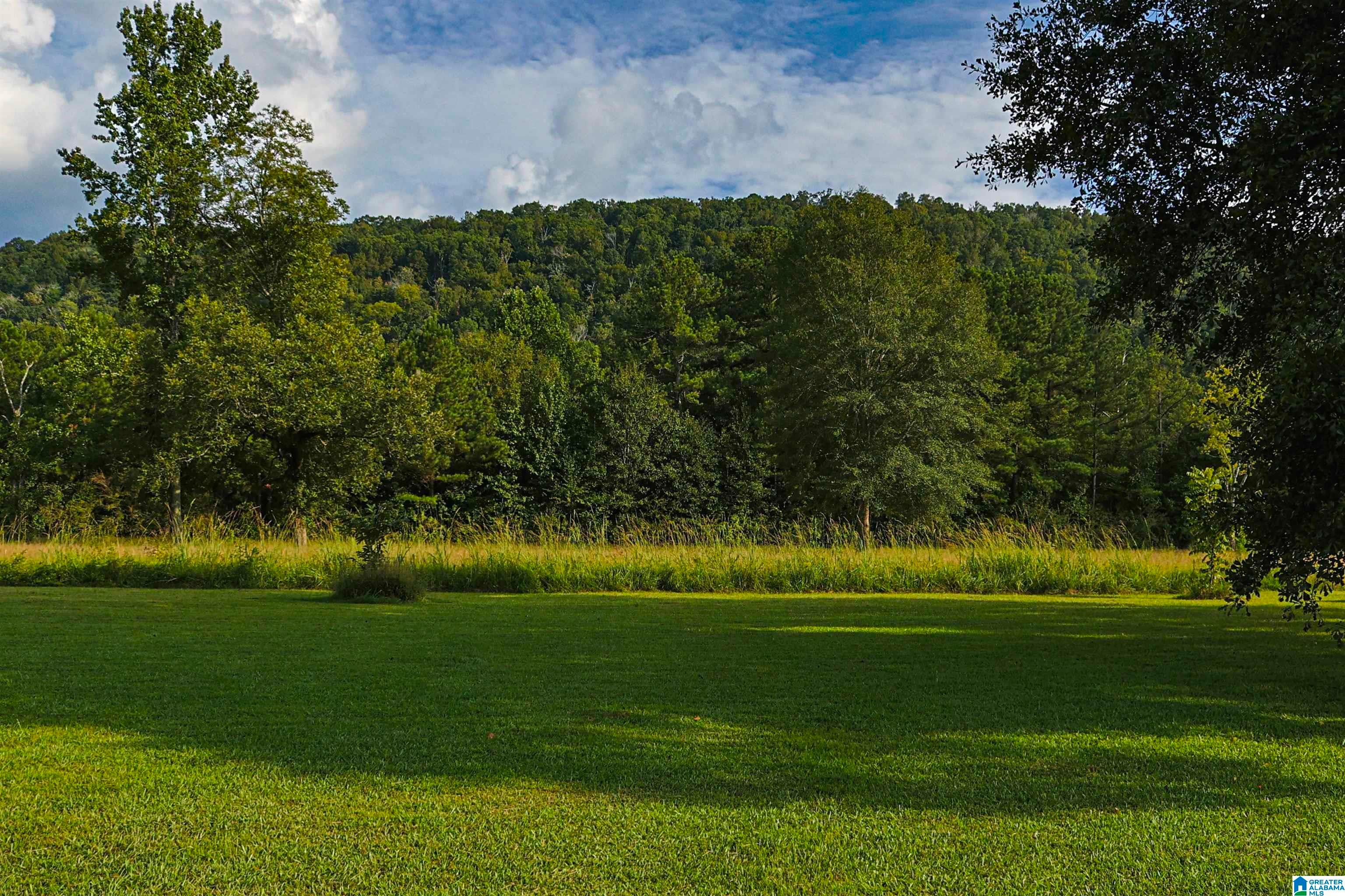 5149 Green Valley Road Southside, AL 35907 - Photo 70 of 74 Gallery Image 70