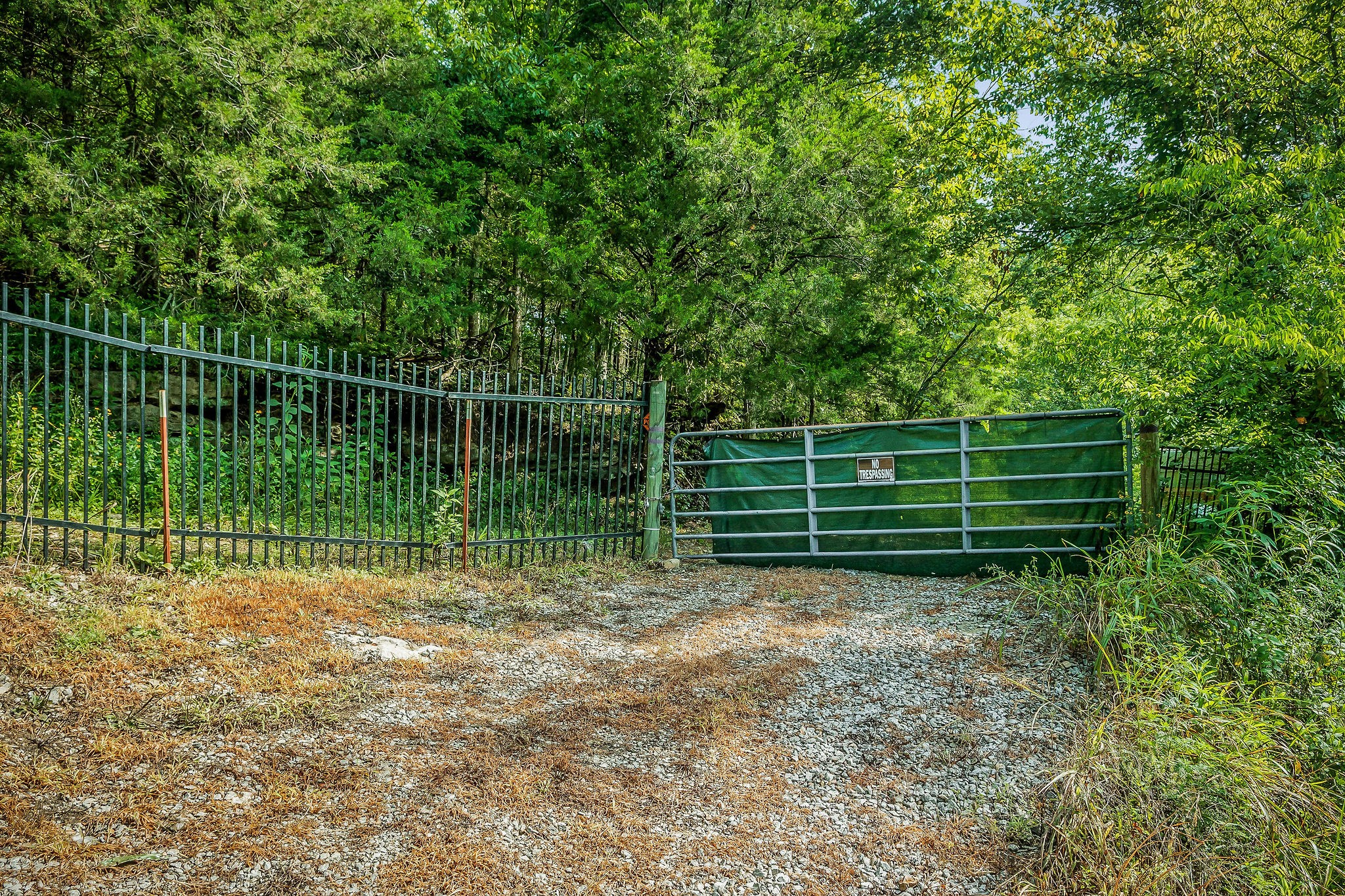 392 Possum Hollow Road Dowelltown, TN 37059 - Photo 12 of 37 Gallery Image 12