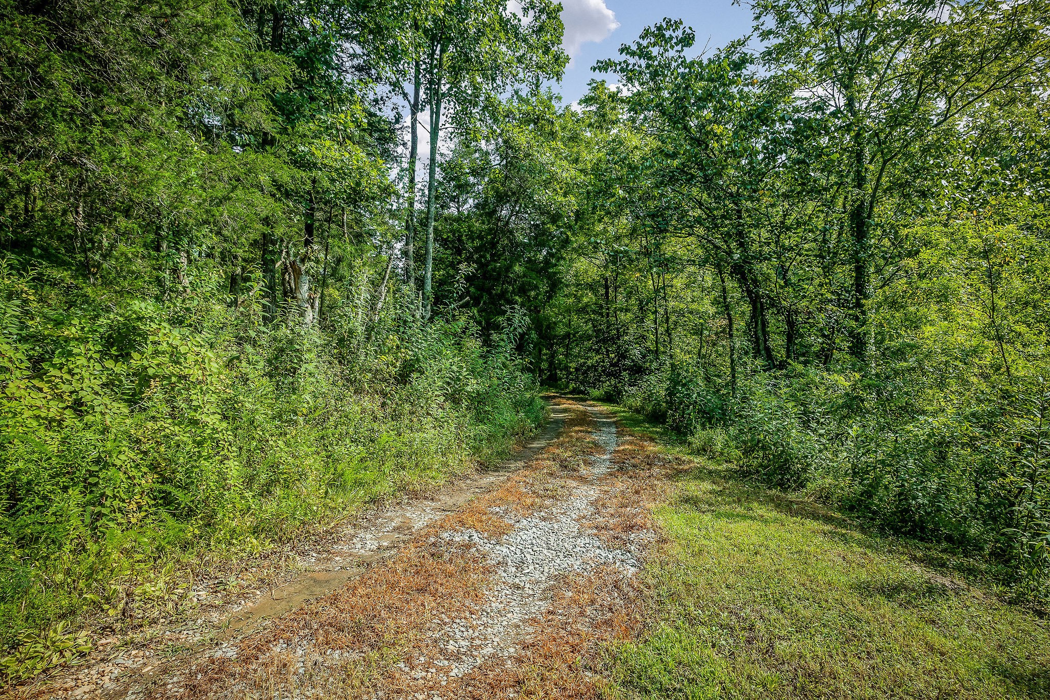 392 Possum Hollow Road Dowelltown, TN 37059 - Photo 13 of 37 Gallery Image 13