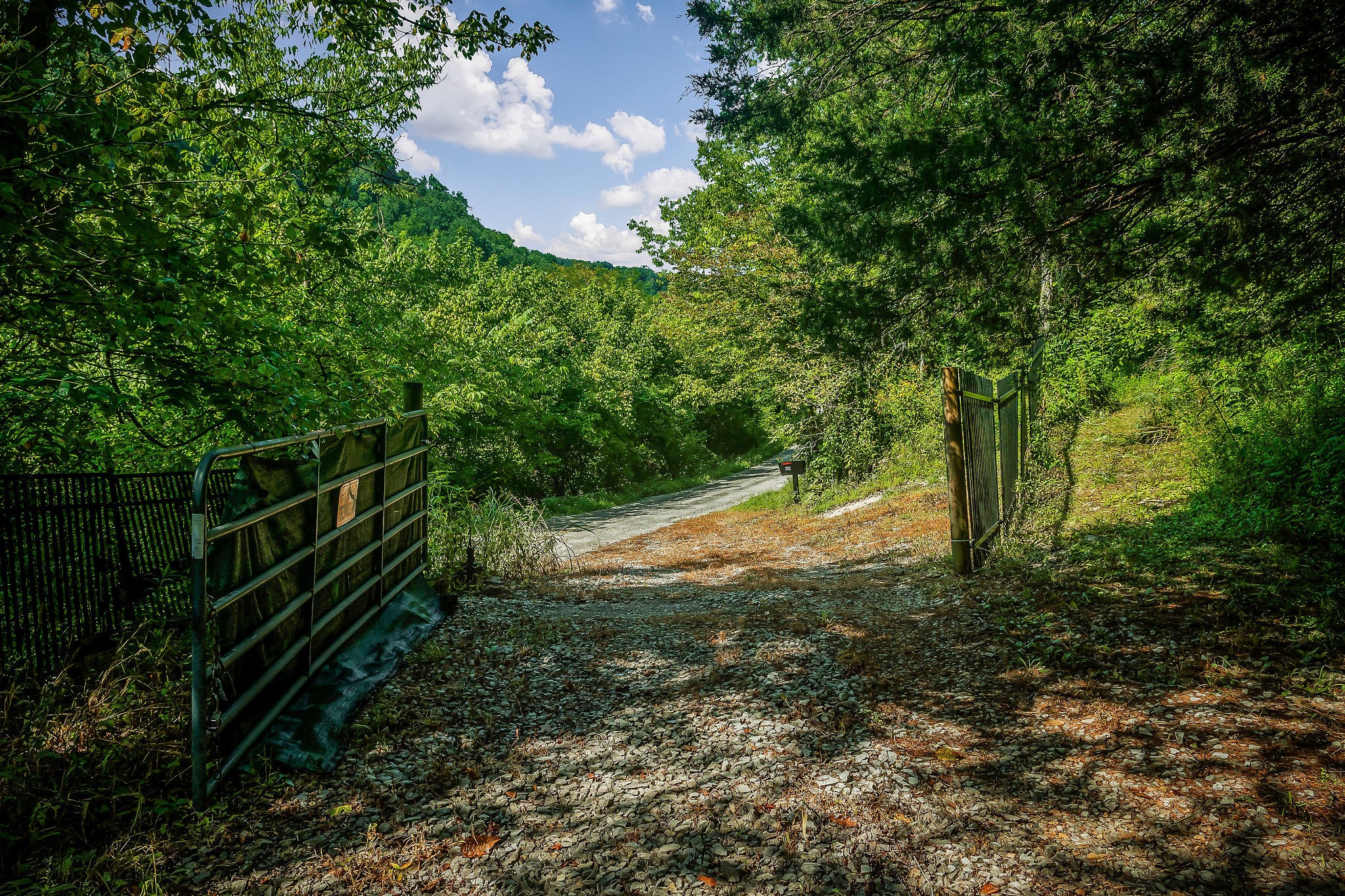 392 Possum Hollow Road Dowelltown, TN 37059 - Photo 14 of 37 Gallery Image 14