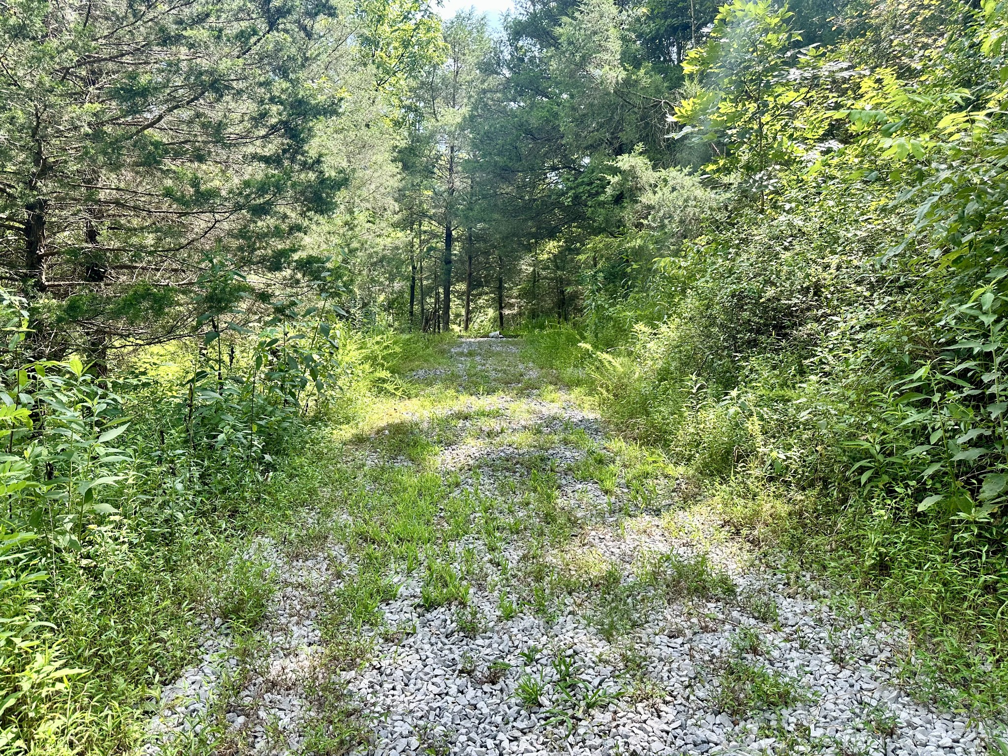 392 Possum Hollow Road Dowelltown, TN 37059 - Photo 15 of 37 Gallery Image 15