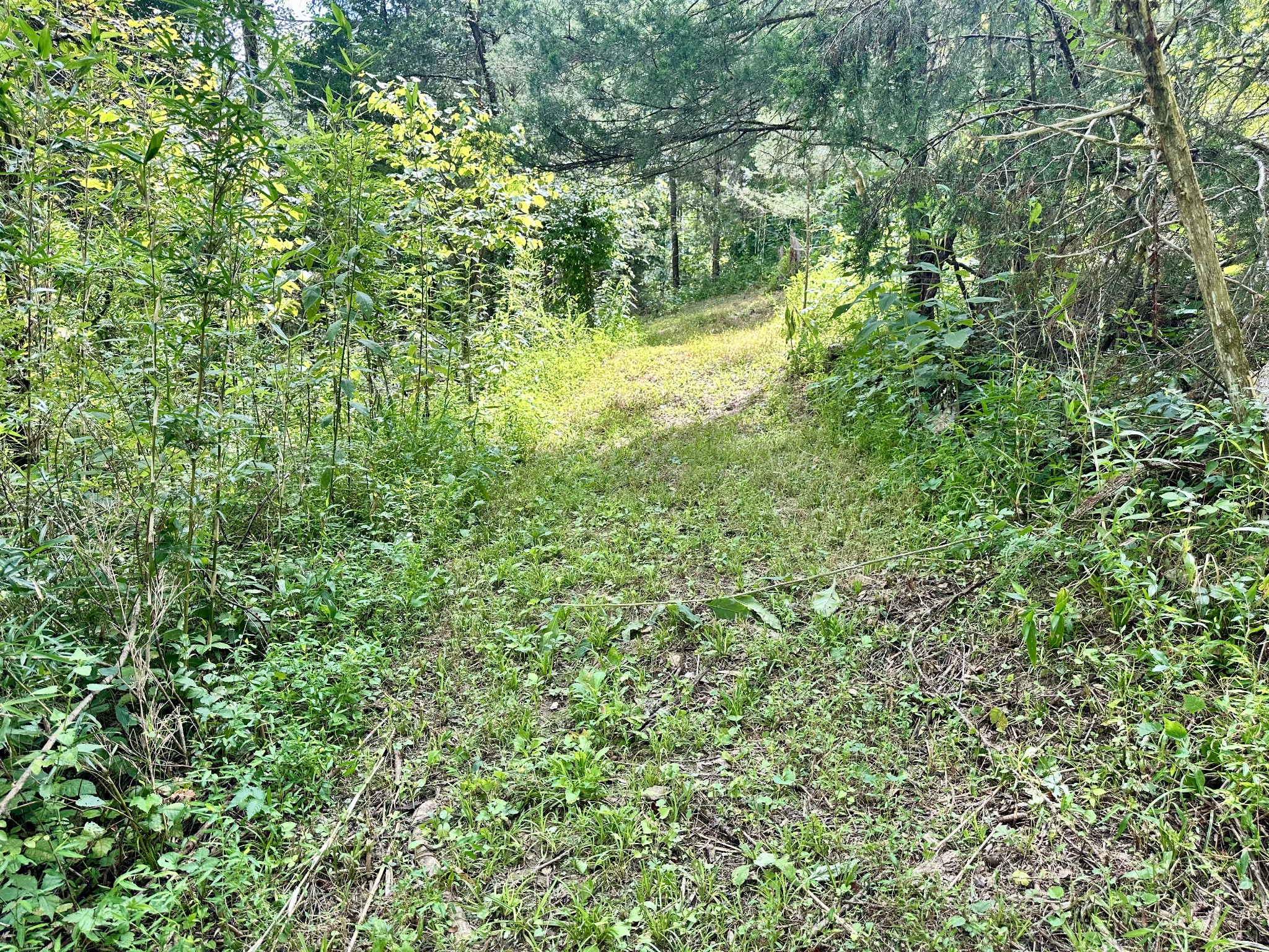 392 Possum Hollow Road Dowelltown, TN 37059 - Photo 16 of 37 Gallery Image 16