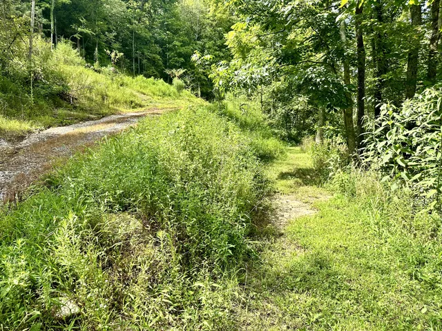 a backyard of a house with lots of green space