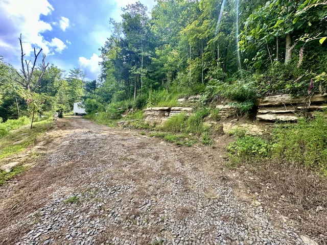 a view of a back yard of the house