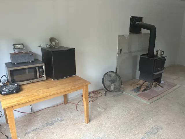 a view of a lush green forest