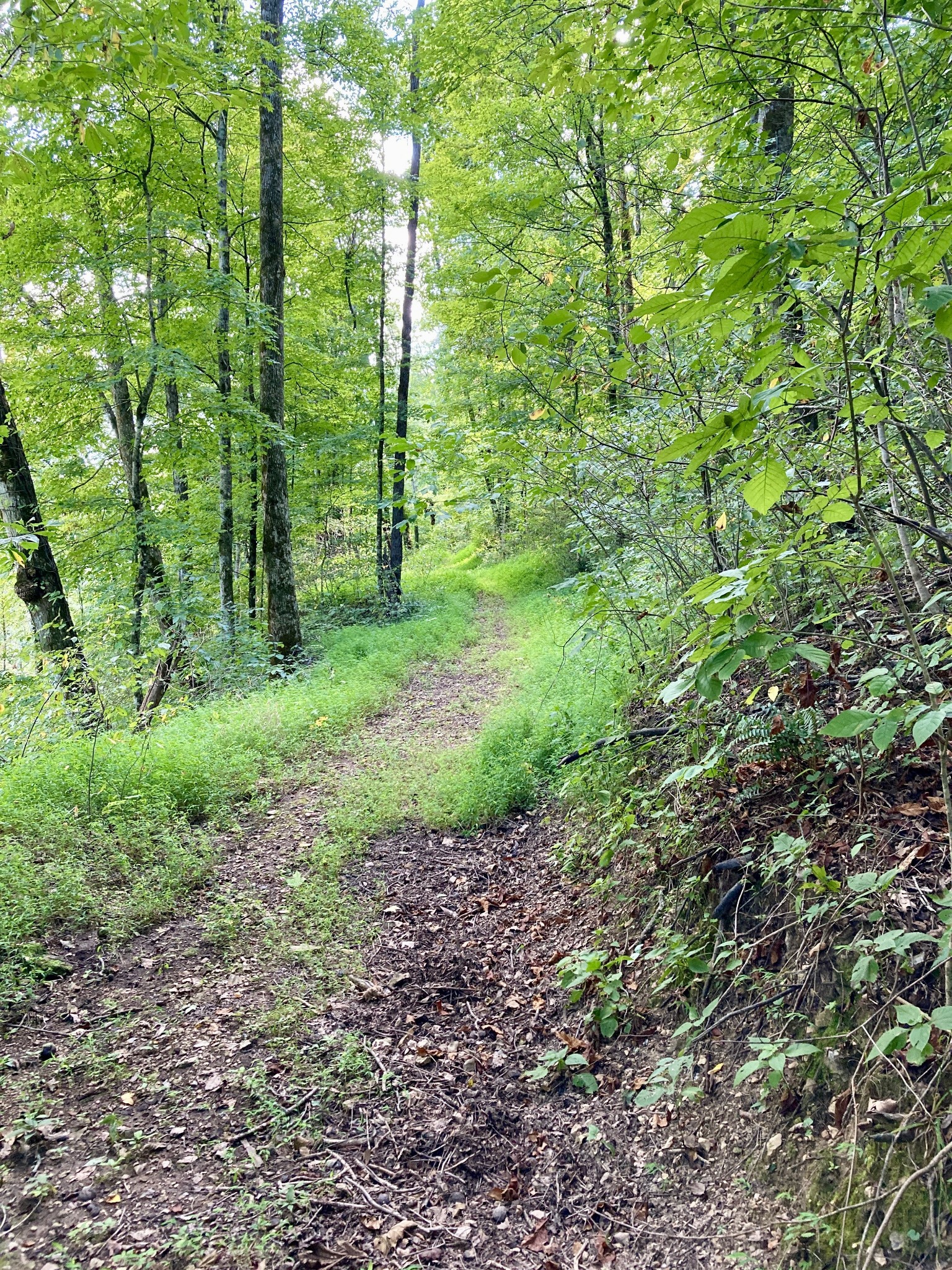 392 Possum Hollow Road Dowelltown, TN 37059 - Photo 26 of 37 Gallery Image 26