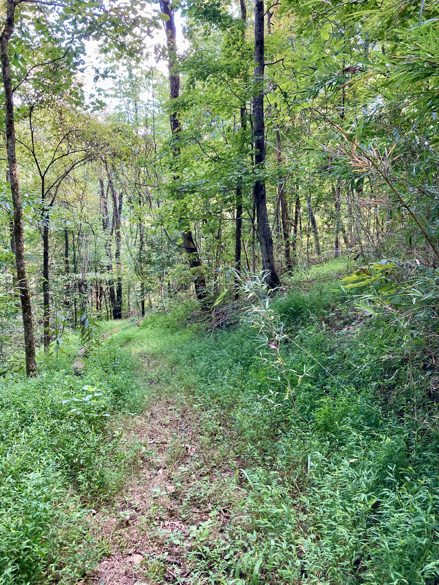 392 Possum Hollow Road Dowelltown, TN 37059 - Photo 29 of 37 Gallery Image 29