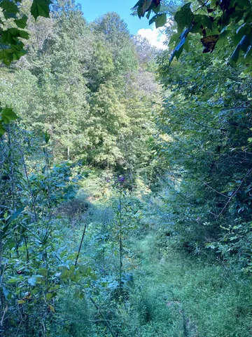 a view of a bench in a field
